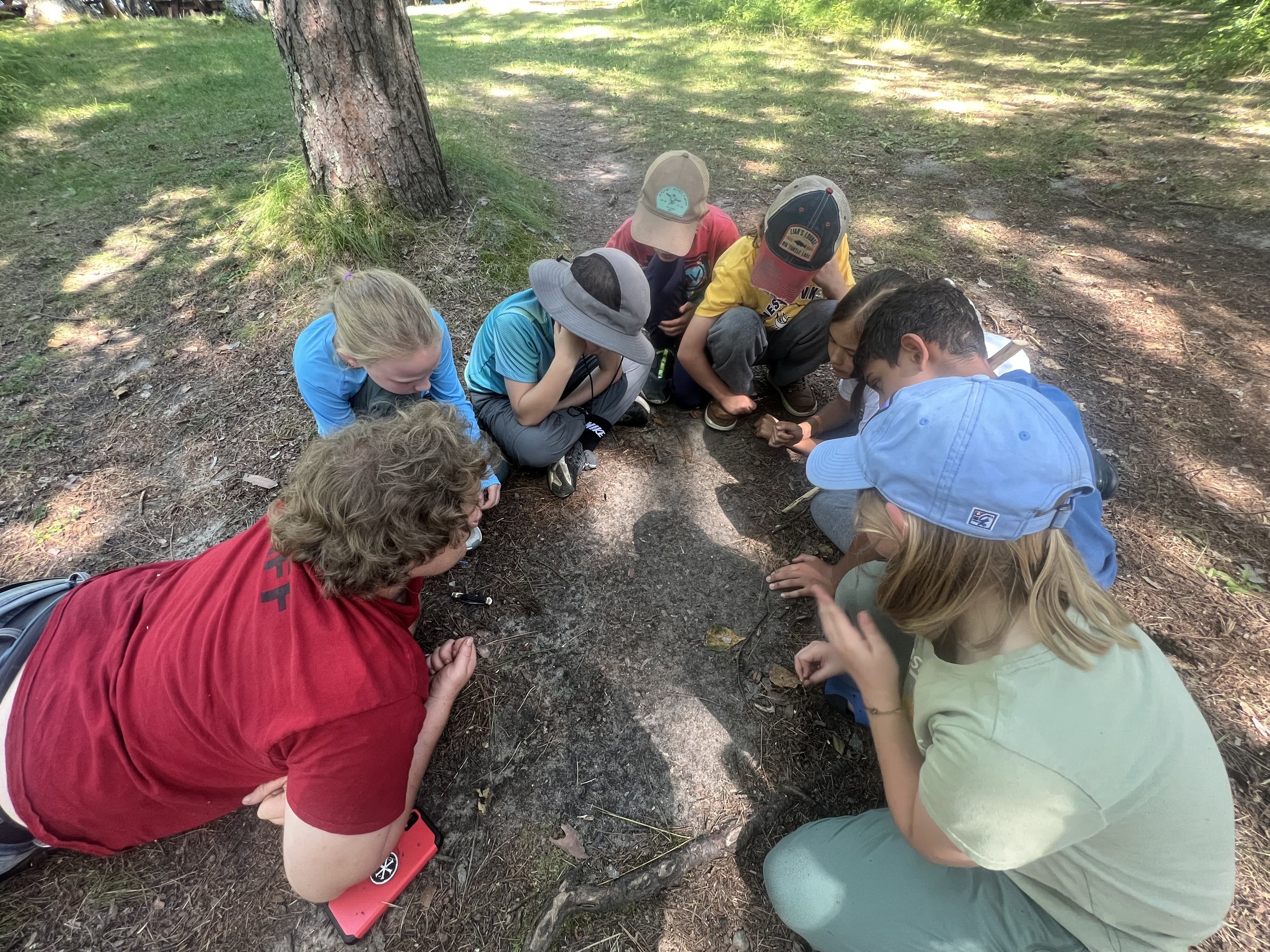 A group of children and two adults are gathered closely on the ground outdoors, observing or examining something in the dirt near a tree, during daytime.