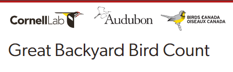 The Great Backyard Bird Count