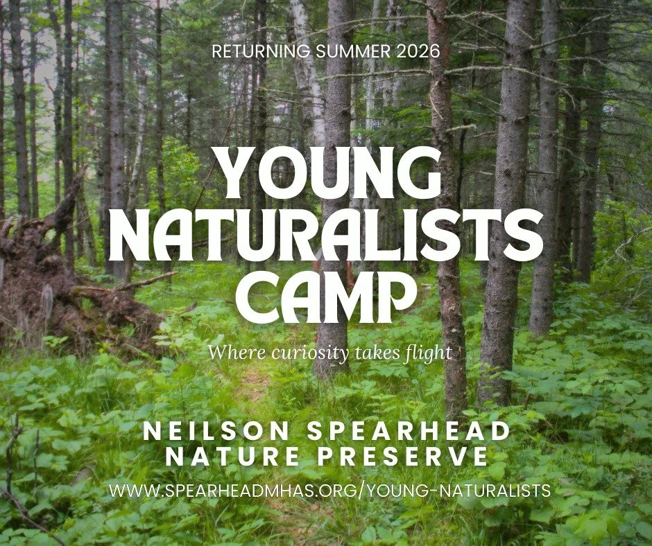 Parents, planning your kids&rsquo; summer?
Young Naturalists Camps at Neilson Spearhead Nature Preserve are returning! While we&rsquo;re still finalizing this year&rsquo;s schedule, you can stay in the loop and get the latest camp updates delivered s