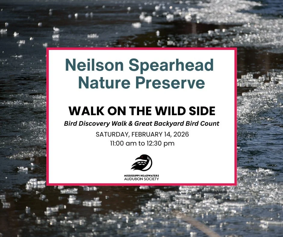 Saturday, February 14, 2026: Get Outside with the Birds!

Bundle up and join us at Neilson Spearhead Nature Preserve for our Bird Discovery Walk, part of our Walk on the Wild Side series. We&rsquo;ll explore the preserve in its quiet winter season, l