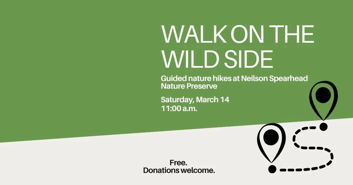 Walk on the Wild Side: Early Signs of Spring, Birdsong Walk

The woods are starting to wake up, and the first clues are in the soundscape.

Join us this Saturday for a Birdsong Walk at the Neilson Spearhead Nature Preserve and listen to birds of earl
