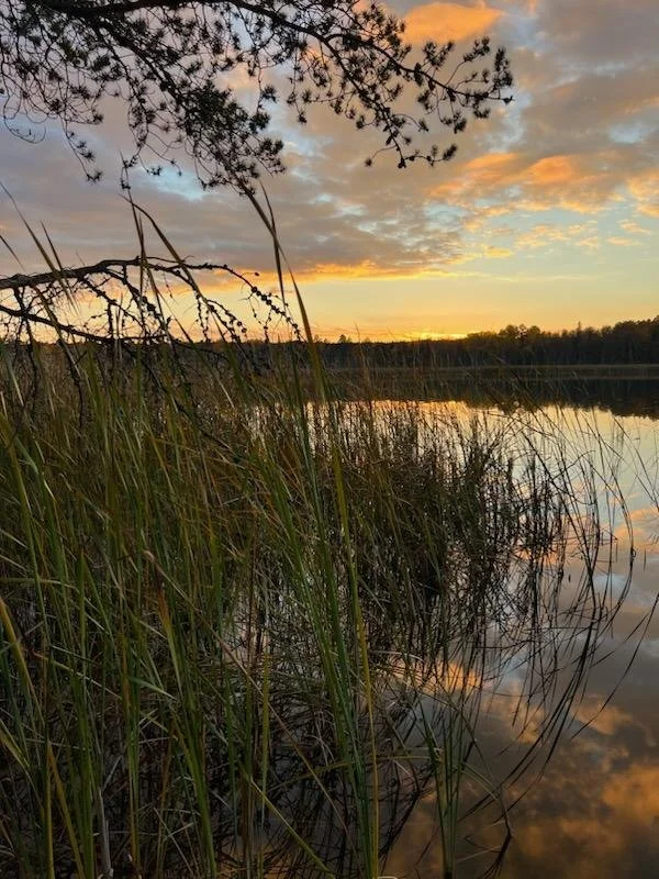Walk on the Wild Side April: Early Migrating Birds Nature Walk