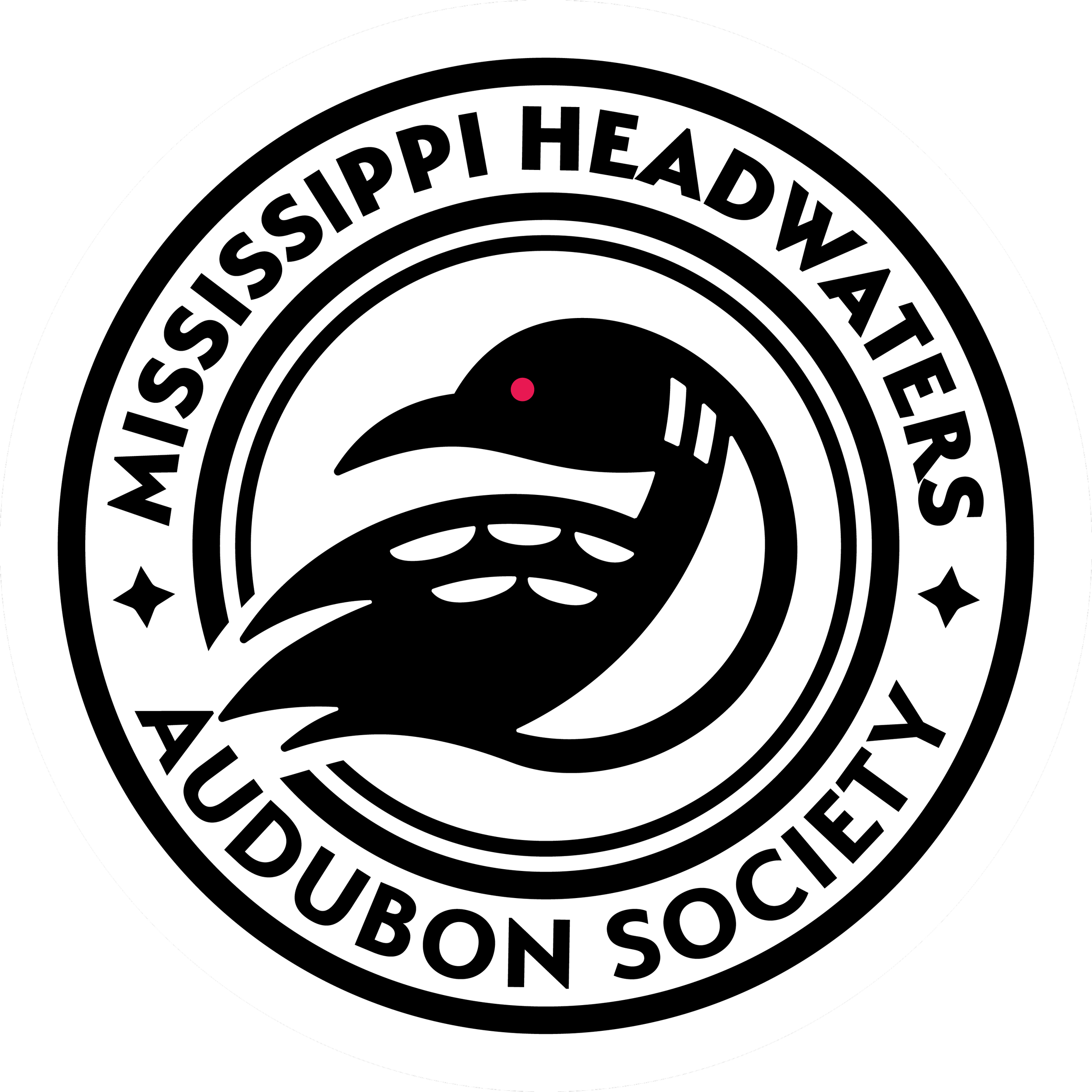 Birding &amp; Beyond Workshop: Bird Language 101