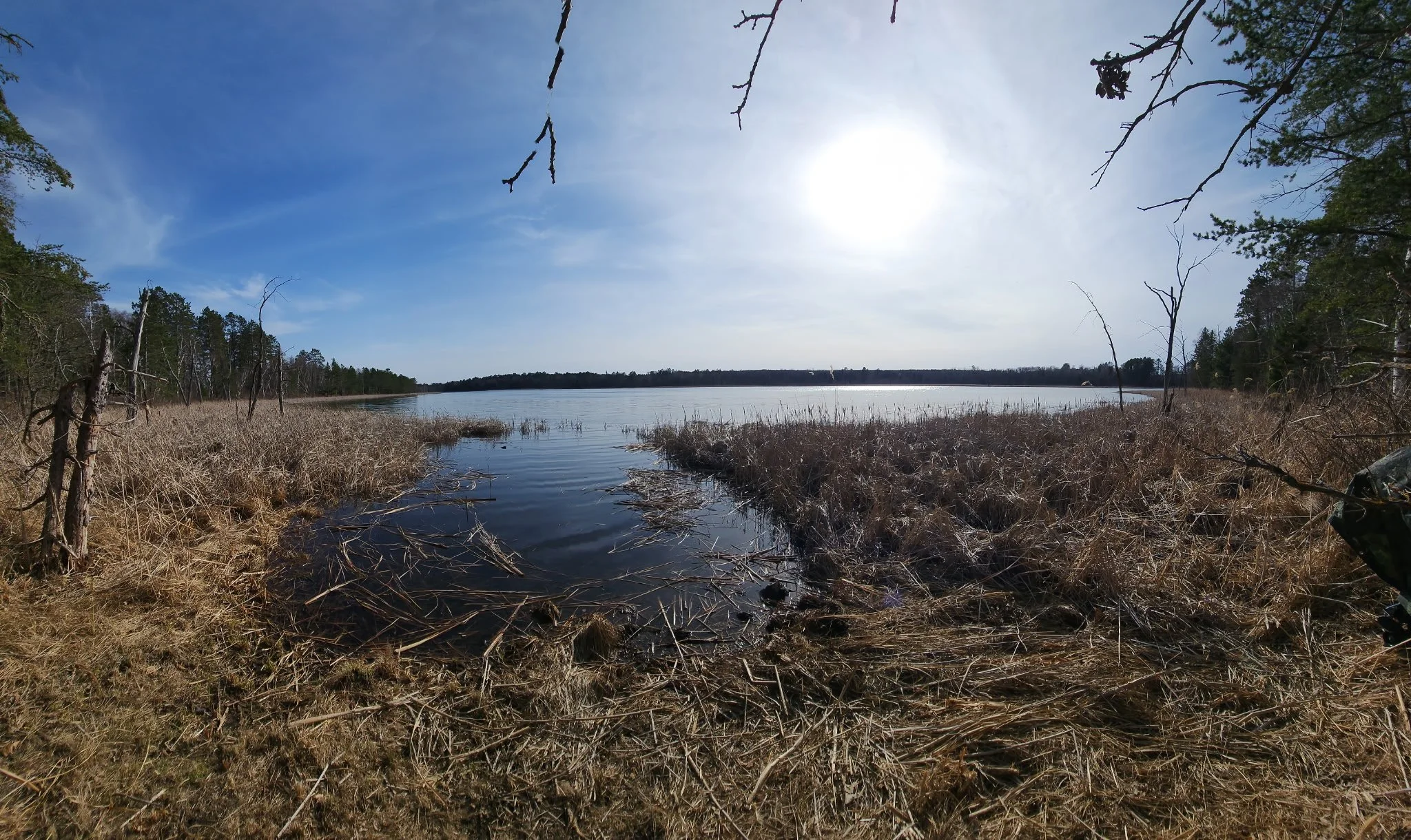 Annual Spring Cleanup at Neilson Spearhead Nature Preserve