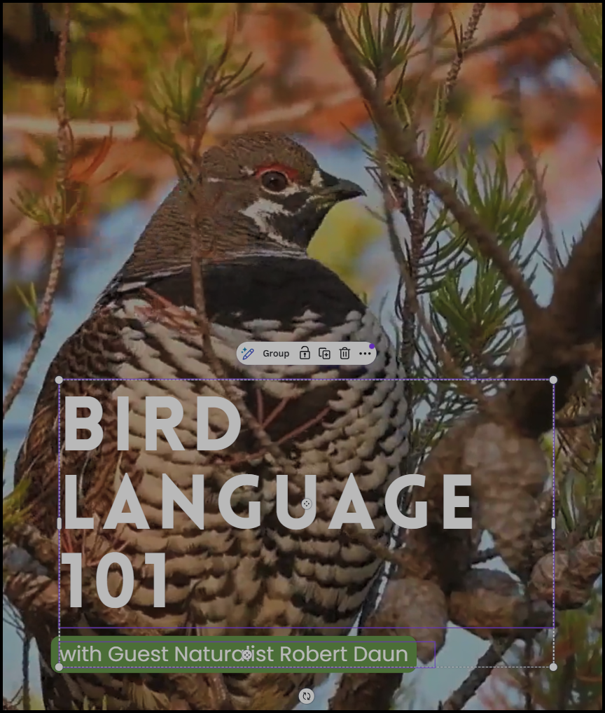 Bird Language 101