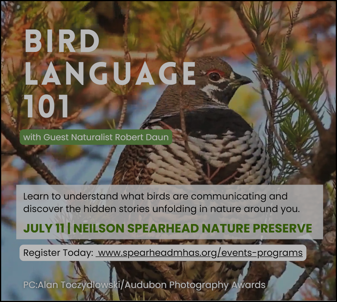Bird Language 101