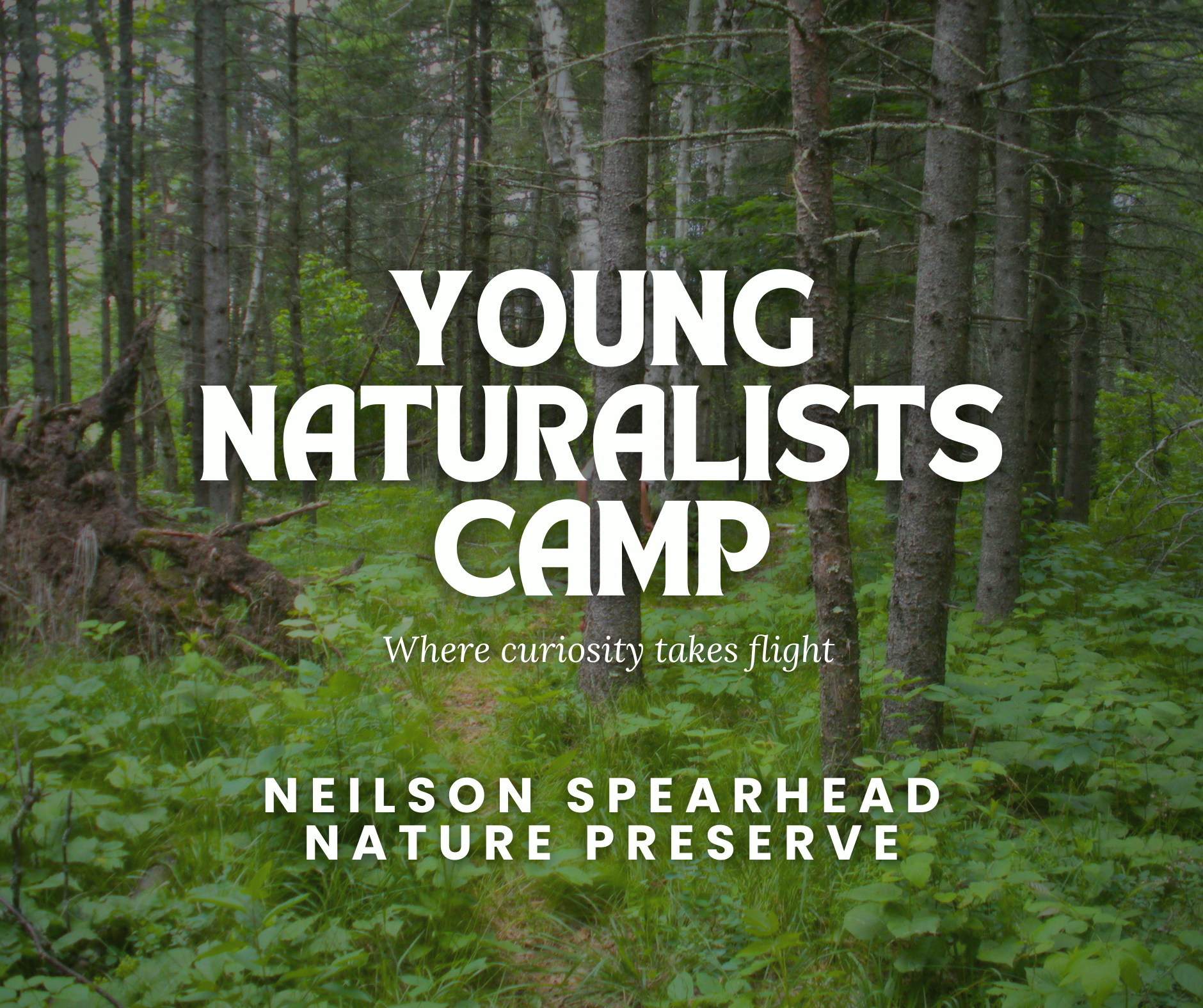 Title card for Young Naturalists Camp with a forest background, featuring trees, green foliage, and a dirt path, with text about the camp and the host, Neilson Spearhead, Nature Preserve.