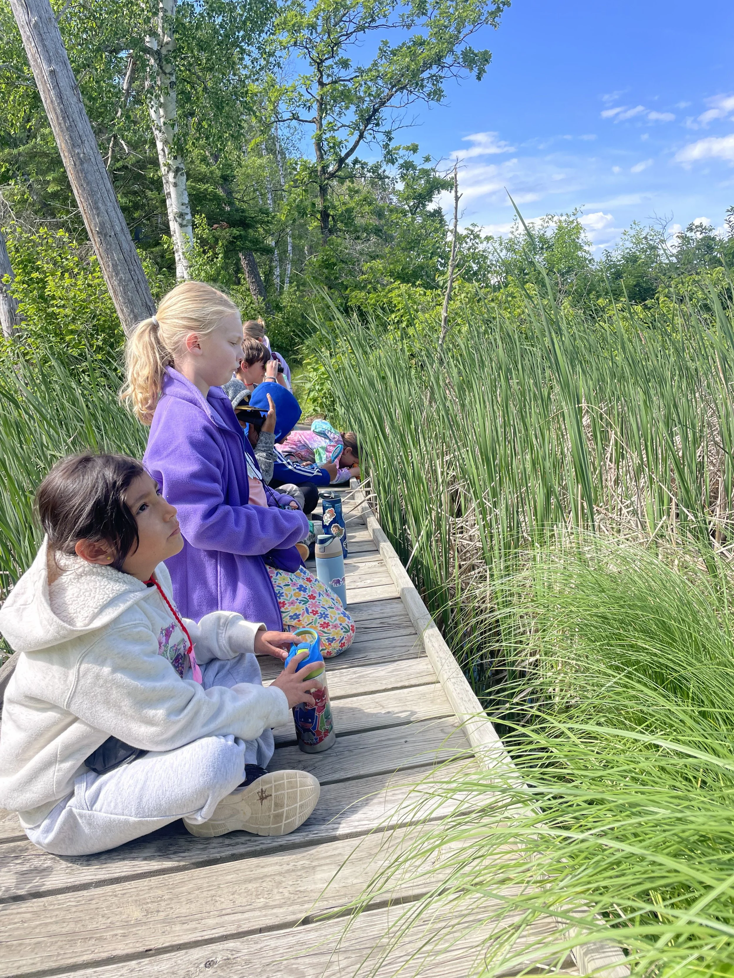 Children sitting on a wooden dock next to tall grass, with green trees and a blue sky in the background, observing the nature around them.