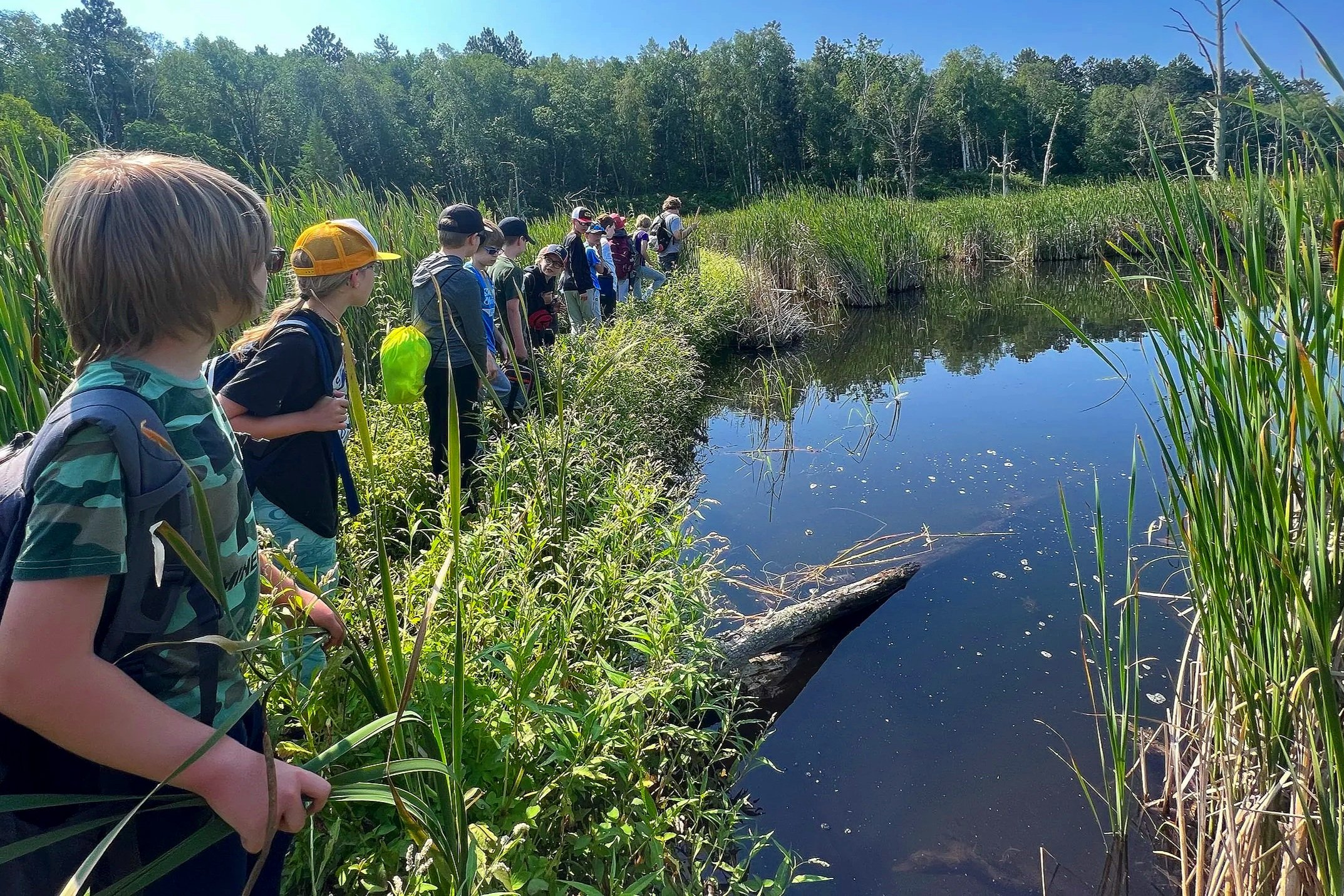 A group of children on a nature walk along a pond surrounded by tall grass and trees in the background.