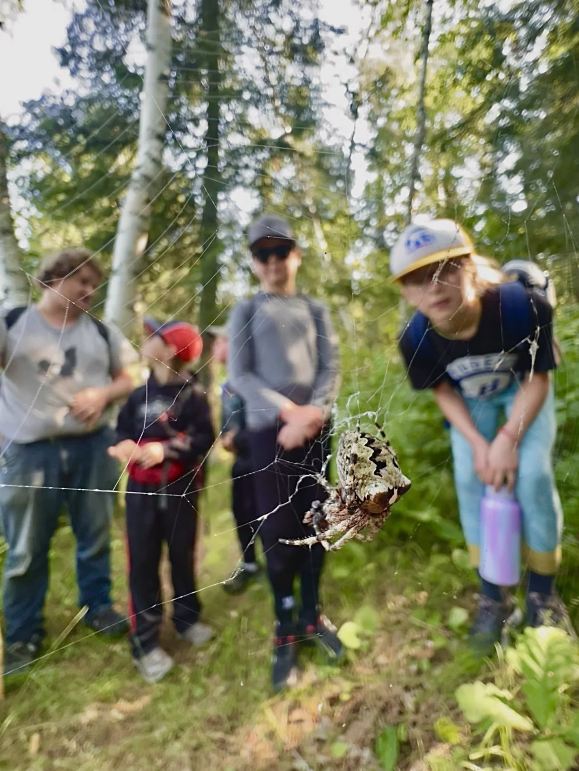 Group of children and adults observing a spider on its web in a forest.