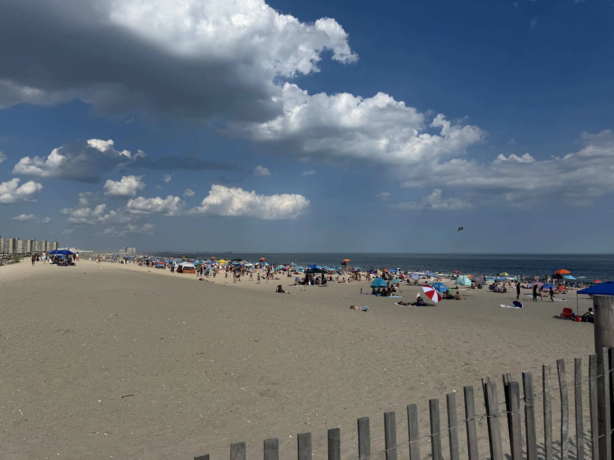 IMG_1472.jpeg