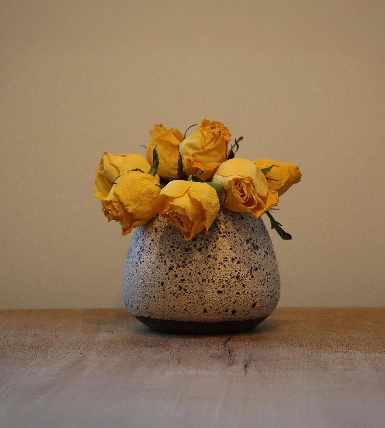 The-Strata-Vase-Boulder-1.jpg