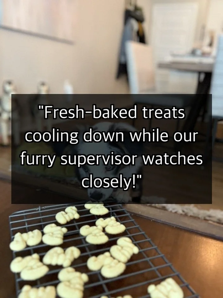 Small steps lead to big changes 🚀