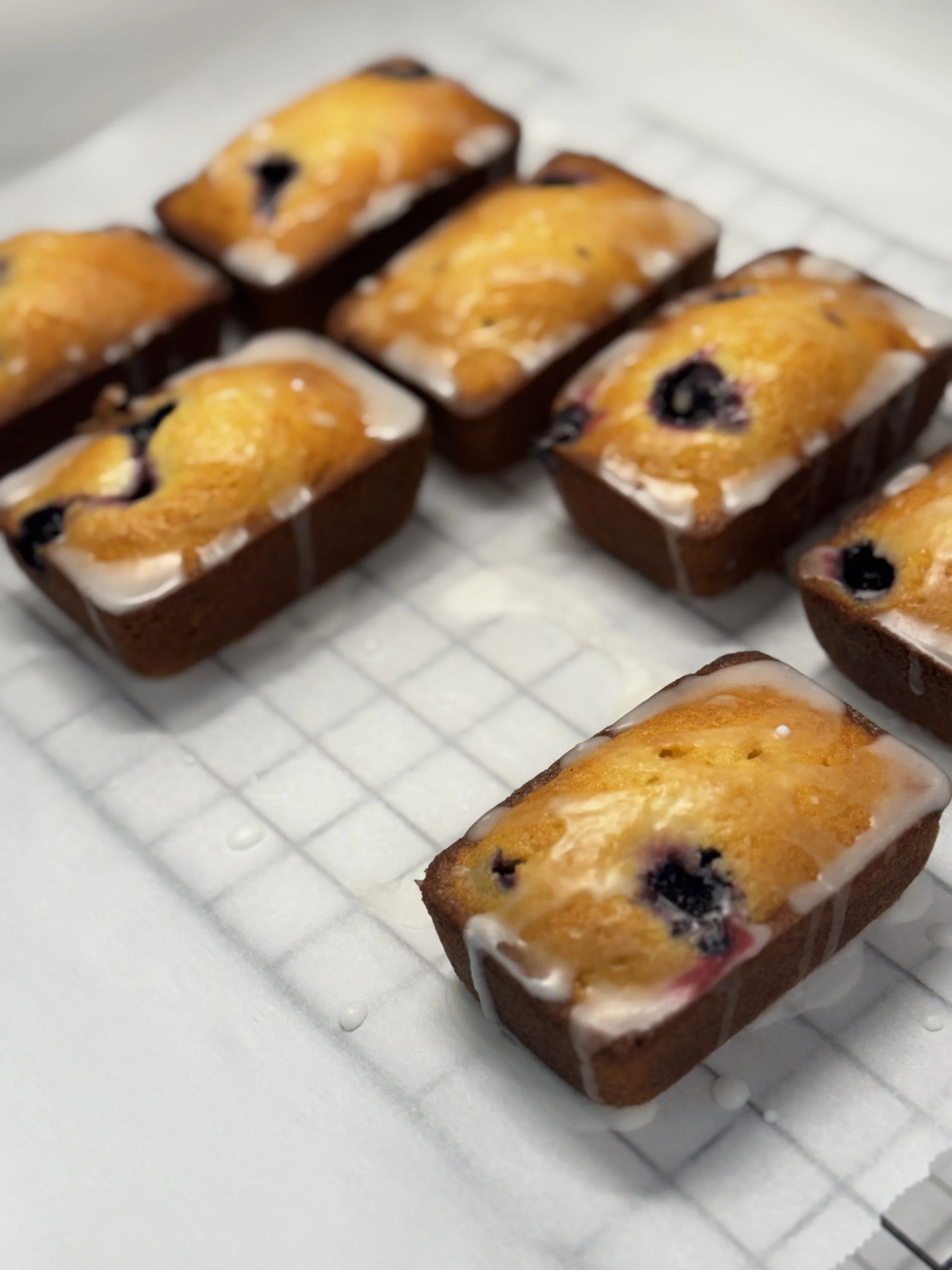 Fresh blueberry muffins with icing on top