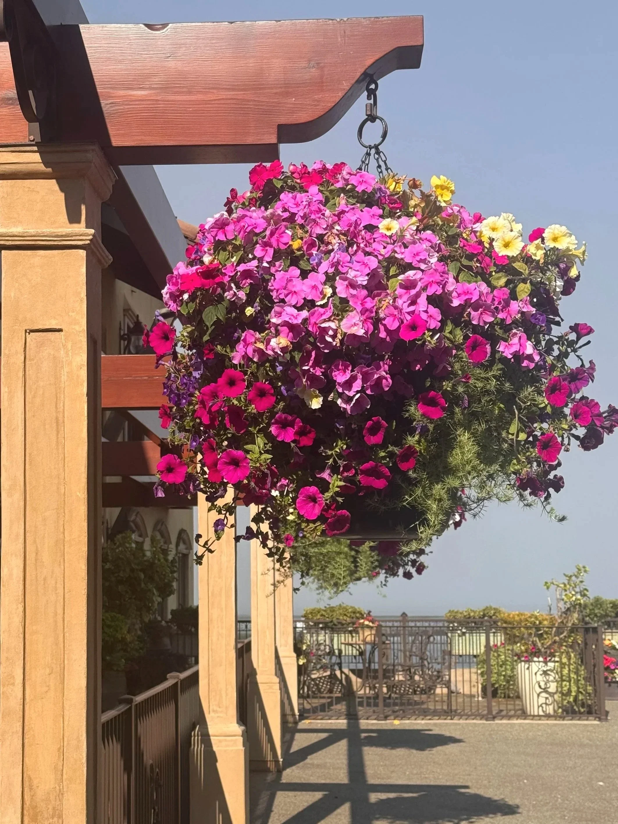 A hanging basket of pink, purple, and yellow flowers on a patio with a railing and outdoor furniture, under a clear blue sky.