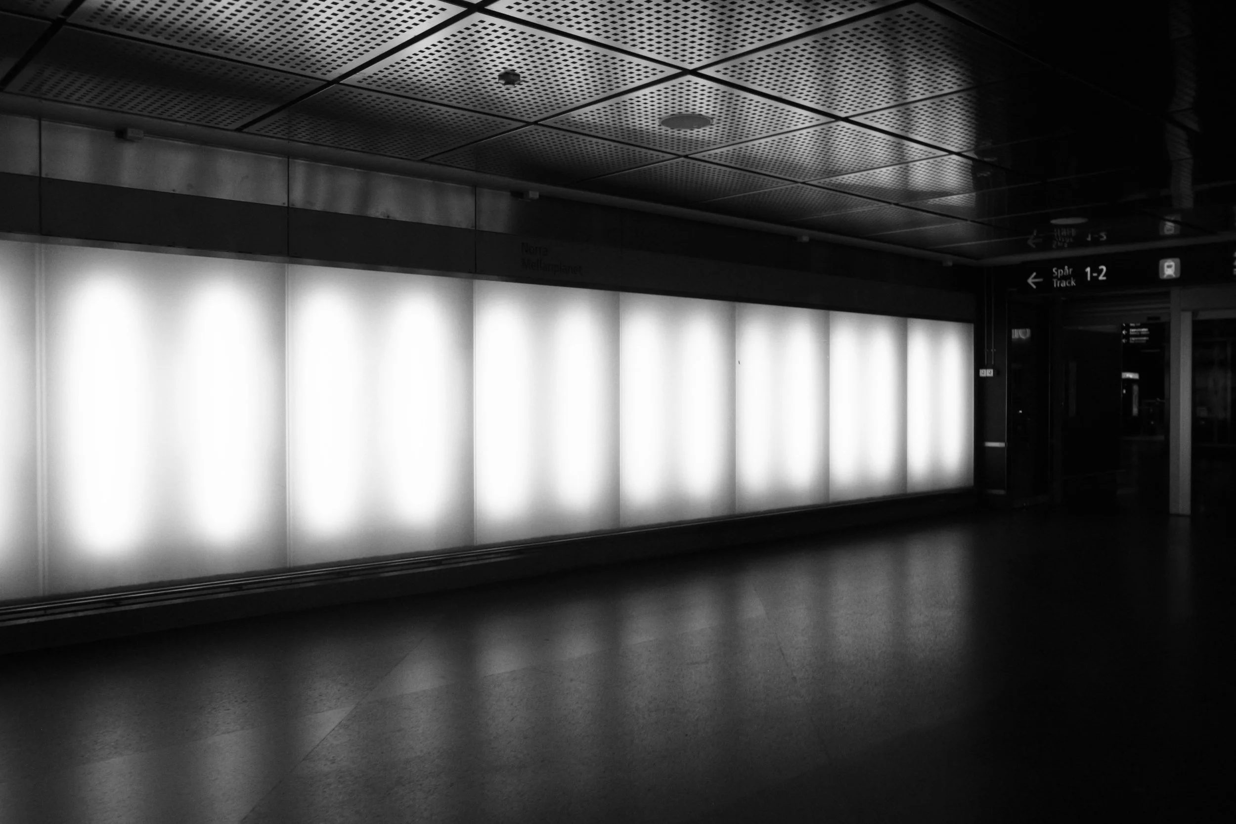 R8009007.jpg