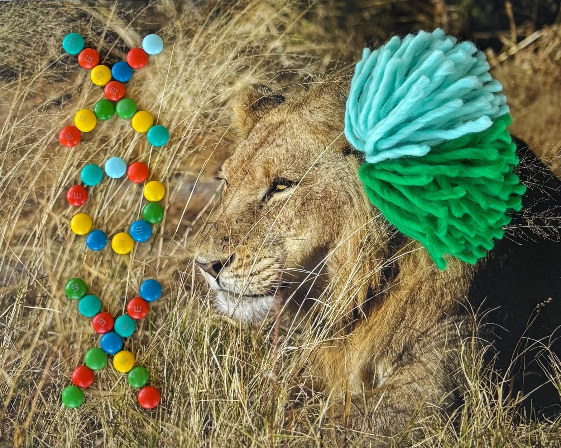 🐘🦓🦁 The Wild Animals Collection Has Arrived! 🦁🦓🐘 

From the savanna to your living room, meet a few wild friends who know how to make an entrance! ✨ 

Each piece in Debra Farber Kressner&rsquo;s Wild Animals Collection begins with original anim