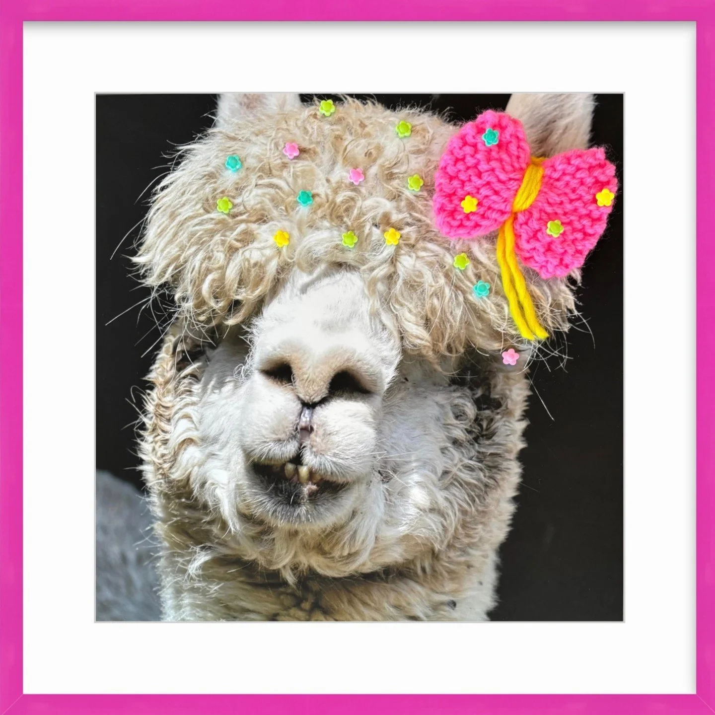 Meet Dotty 💗 
Bold curls, big personality, and a whole lot of joy. 

Framed in one of our favorite vibrant pink frames from @framebridge, Dotty absolutely shines. The pop of color pairs perfectly with her playful bow and sweet floral details, turnin