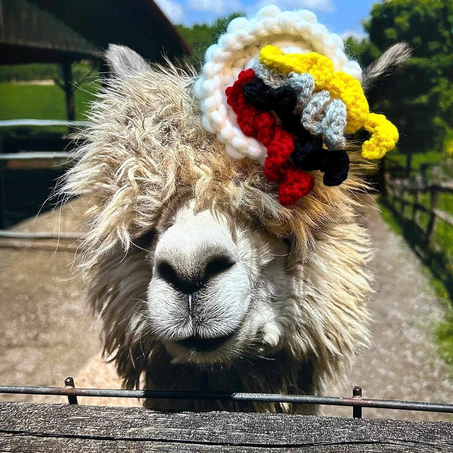 I&rsquo;m so excited to share that I&rsquo;ve been selected as a Featured Artist by @artsy_shark ✨ 

My article is officially out today, and I&rsquo;m incredibly grateful to be included alongside so many talented creatives! Artsy Shark does such impo