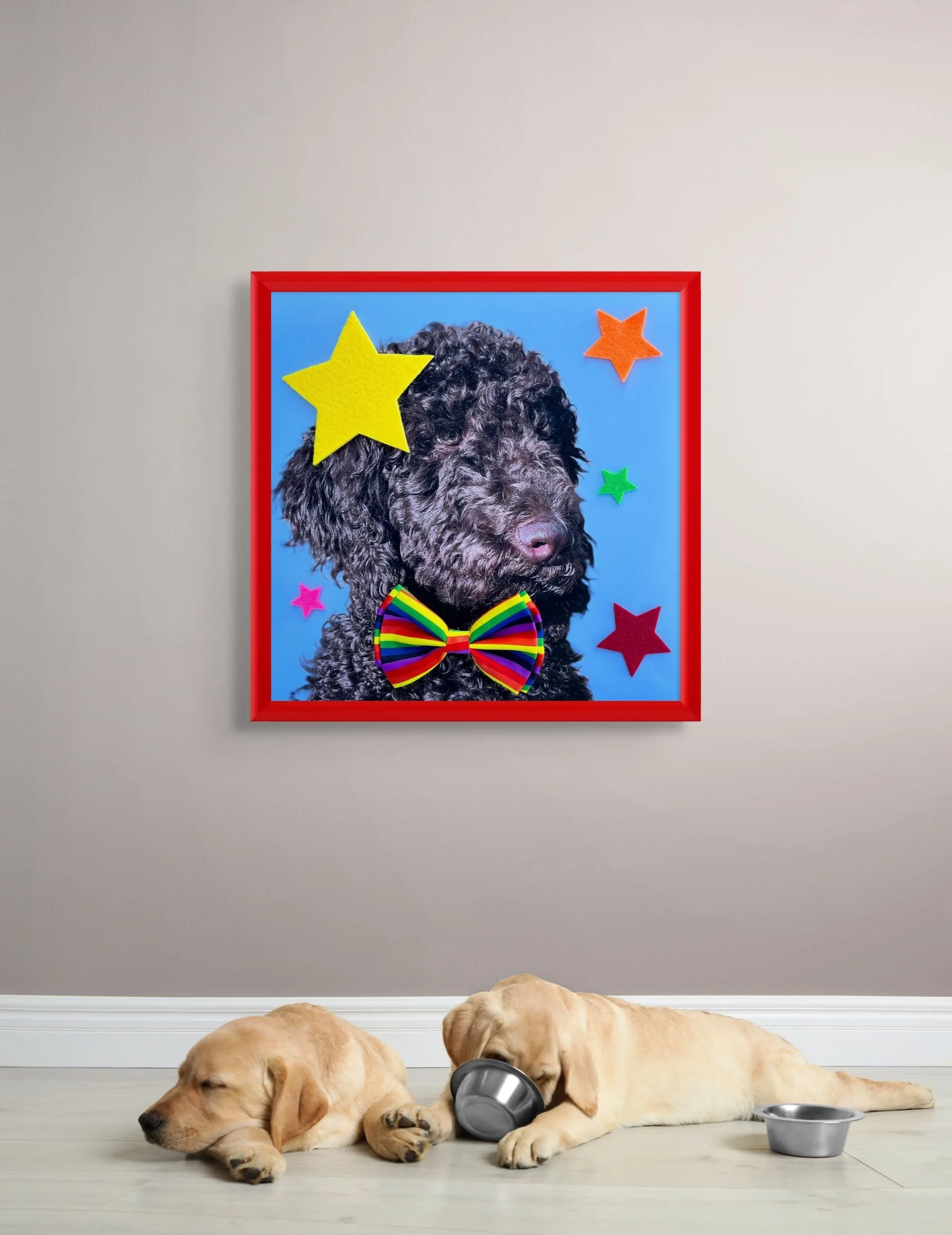 louie the star of the show-medium.jpg