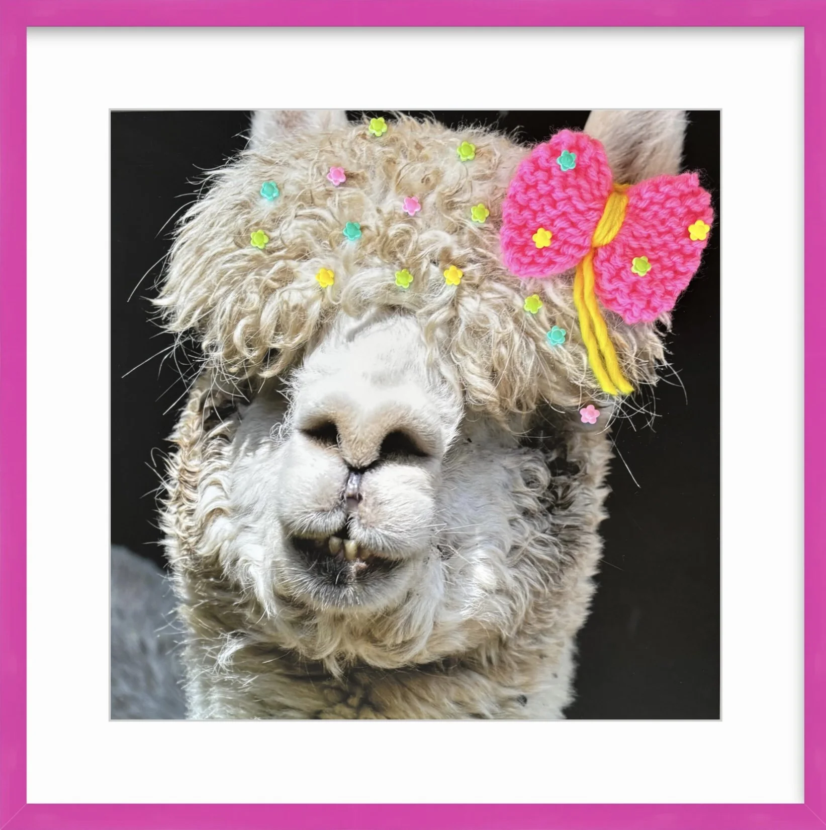 Colored frames from Framebridge 4.jpg