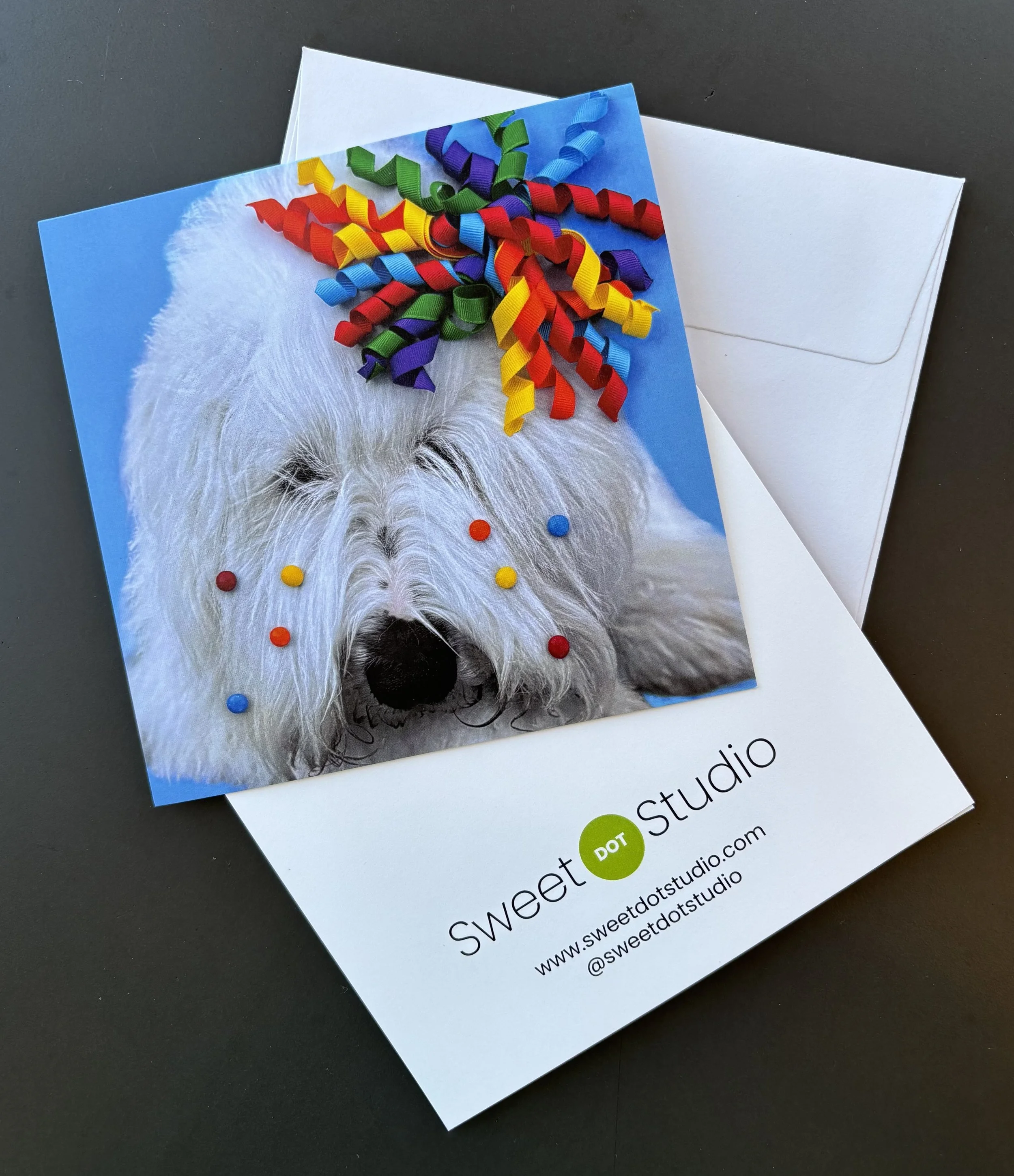 Noodle Note Cards (Pack of 4)