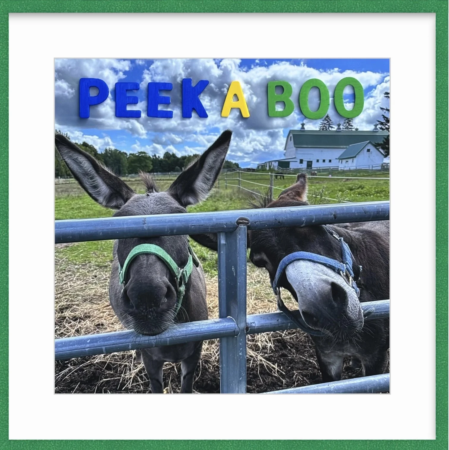 Colored frames from Framebridge 2.jpg