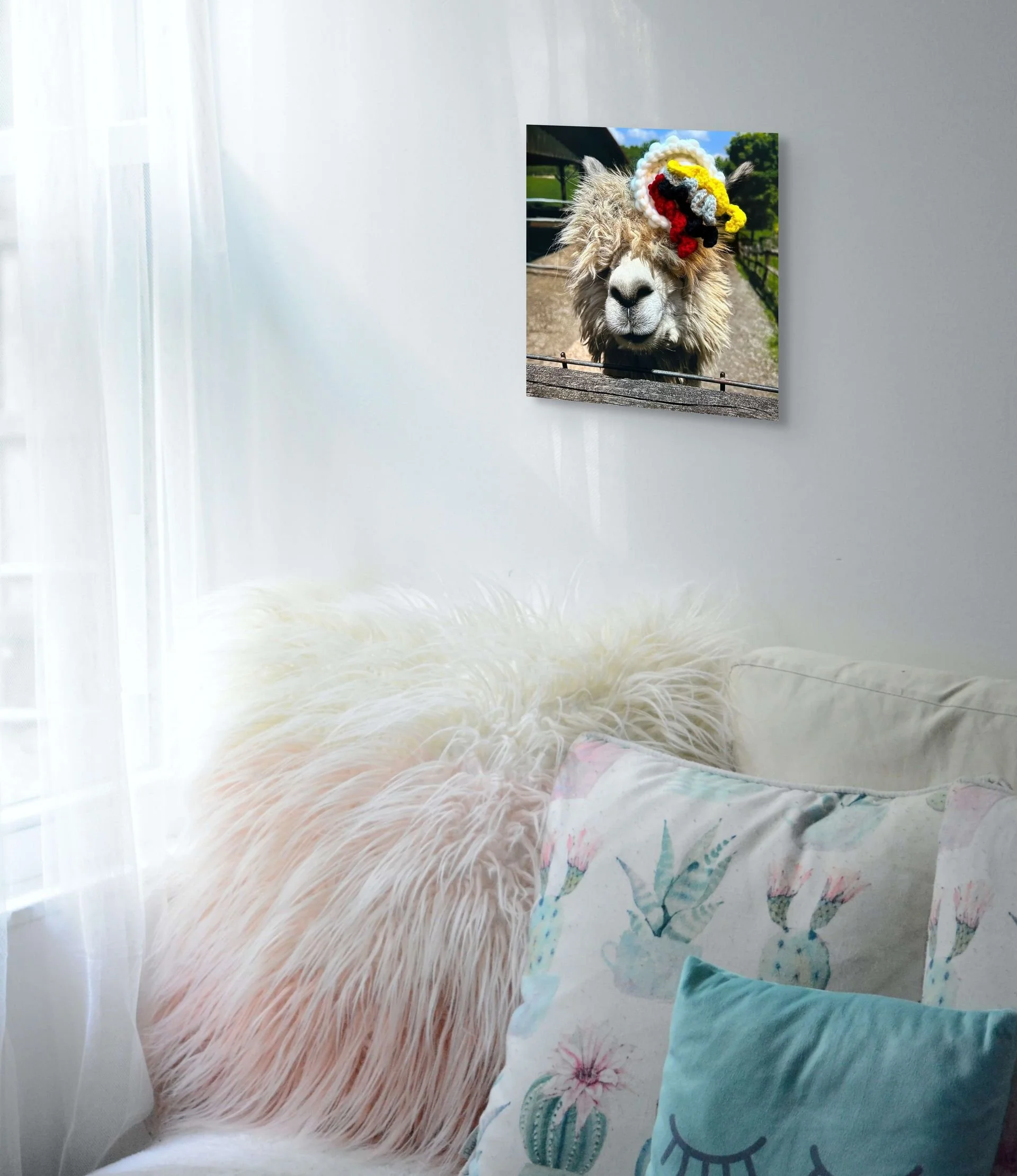 jpeg image 2-medium (1).jpg