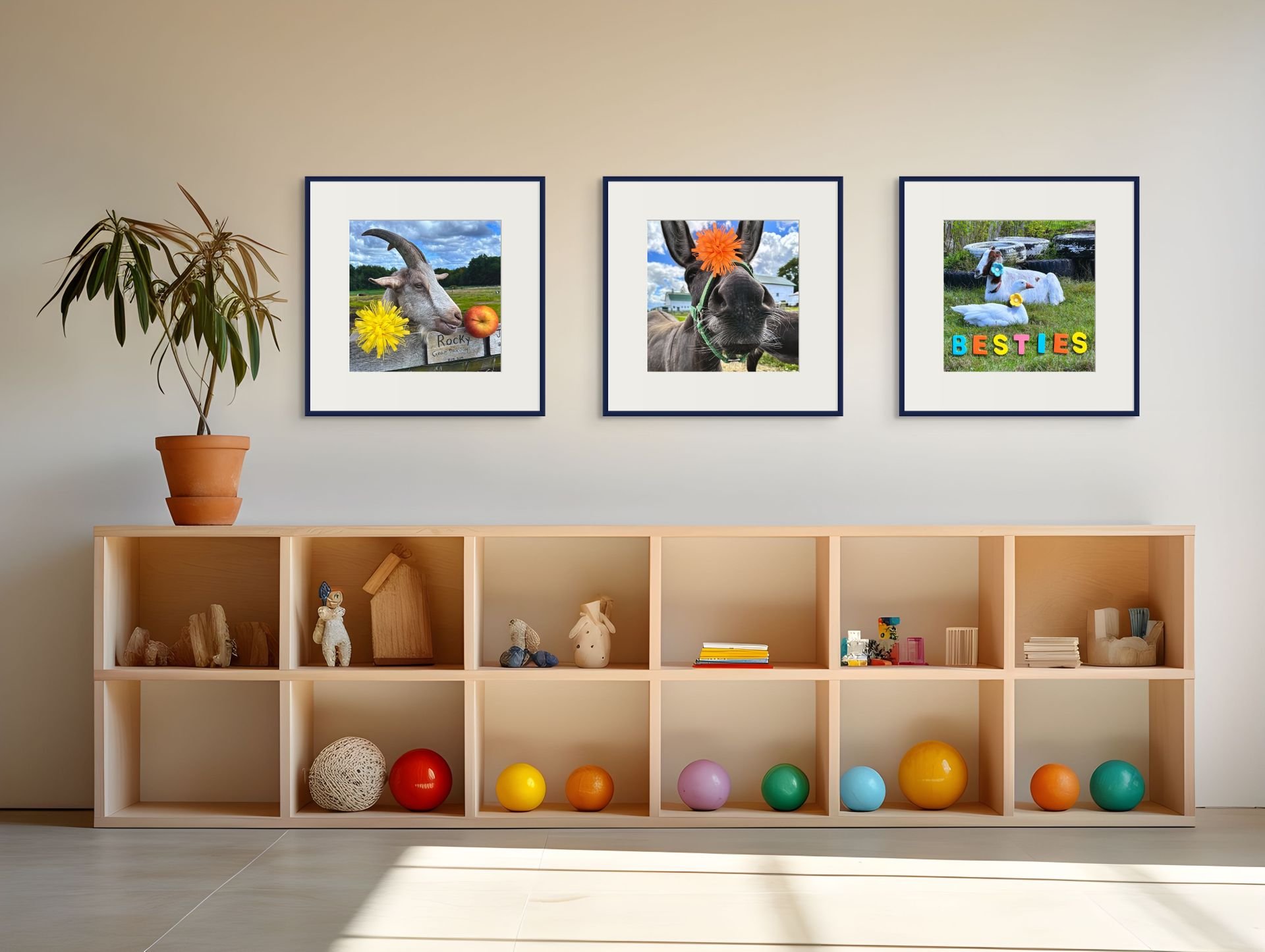 billy  quackers-whiskers-rocky-medium.jpg