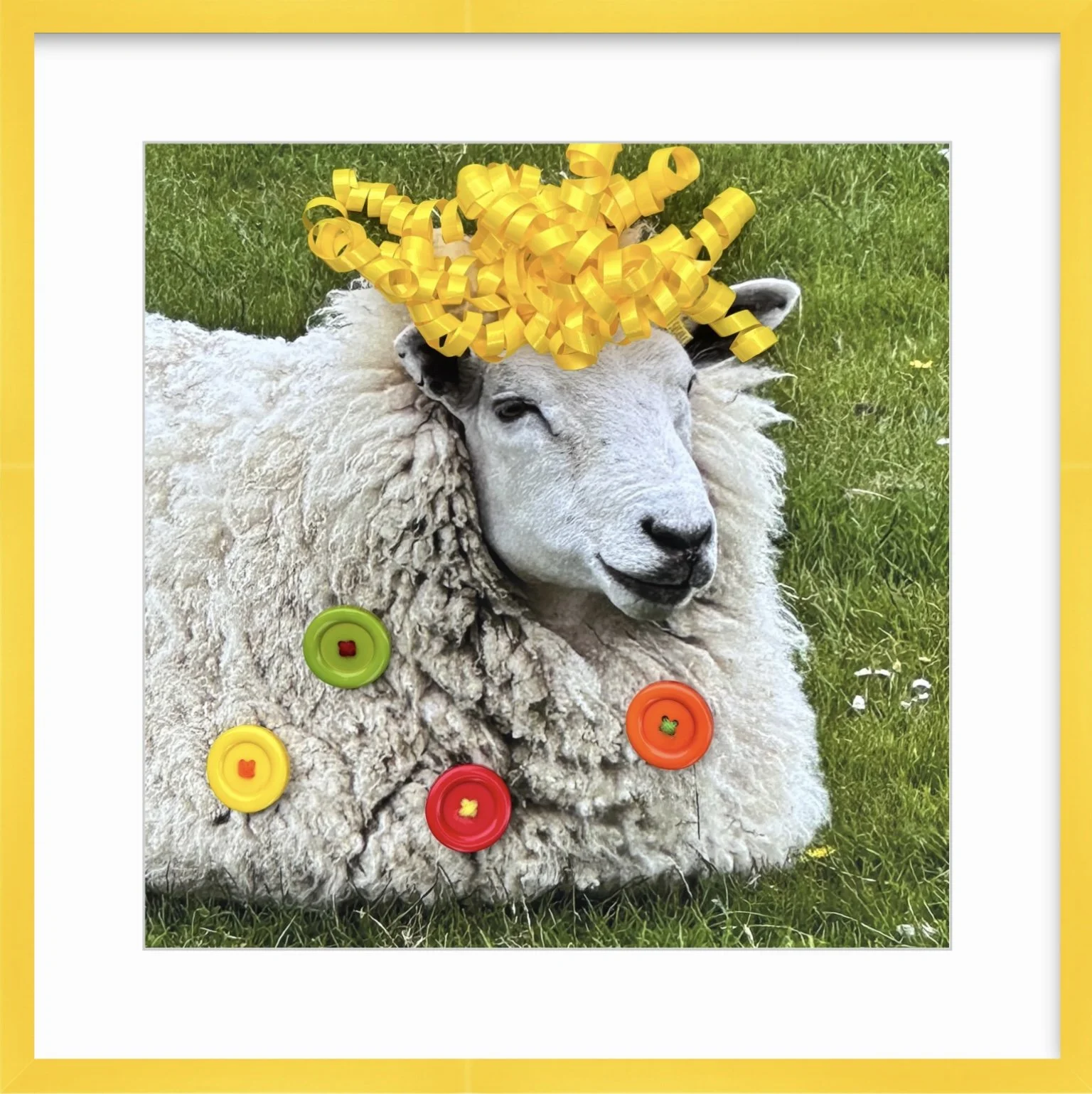 Colored frames from Framebridge 1.jpg