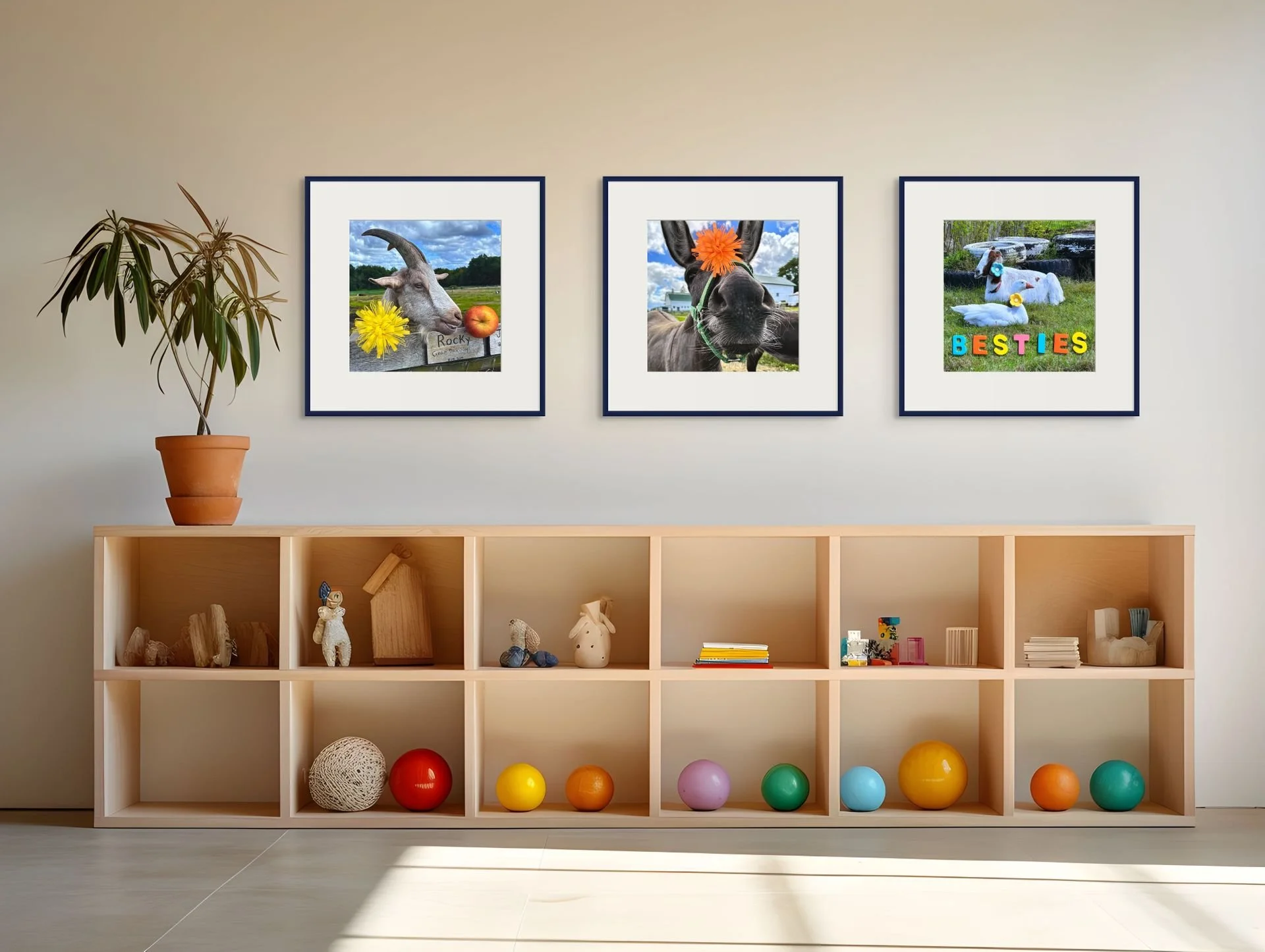 billy  quackers-whiskers-rocky-medium.jpg