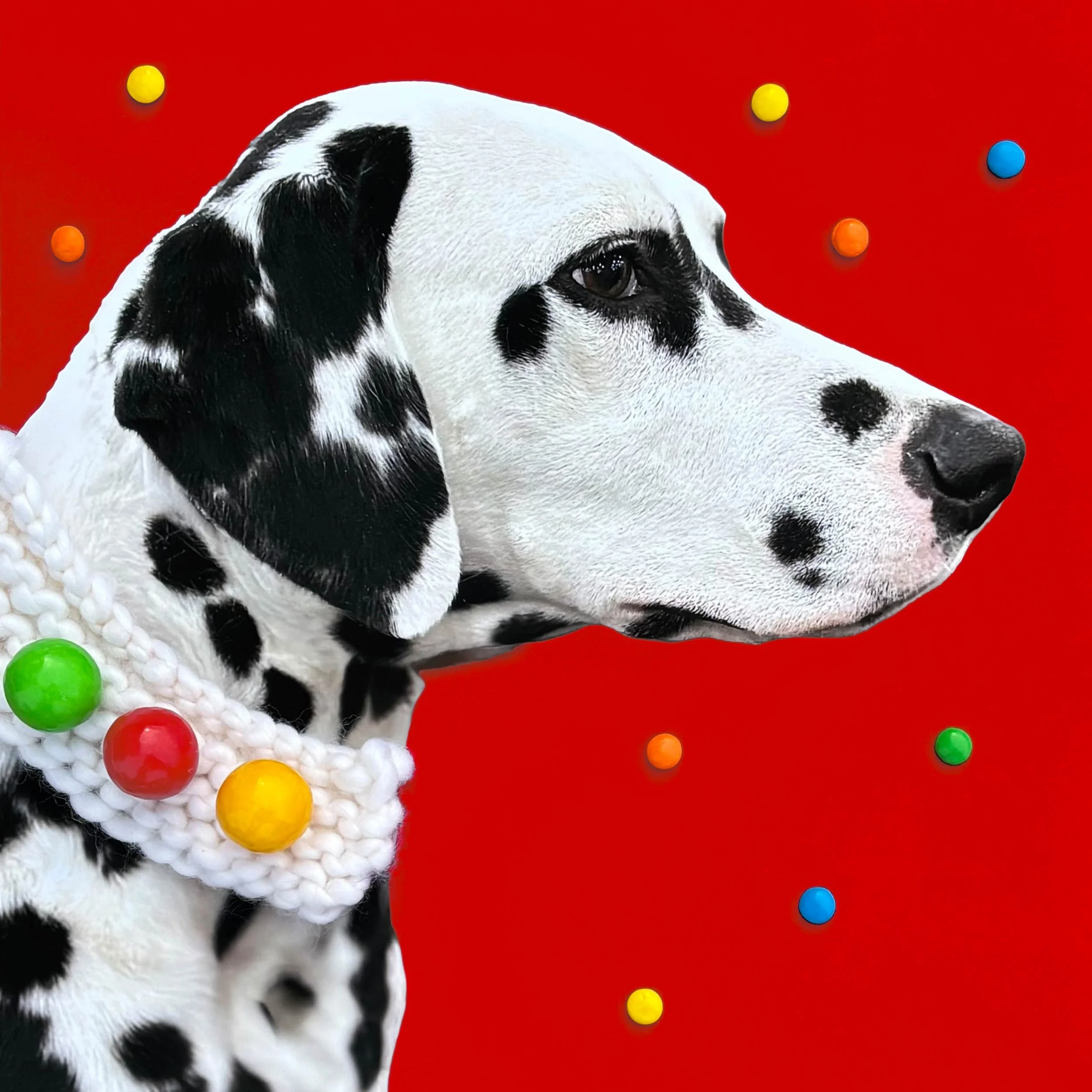 Skippy Note Cards (Pack of 4)