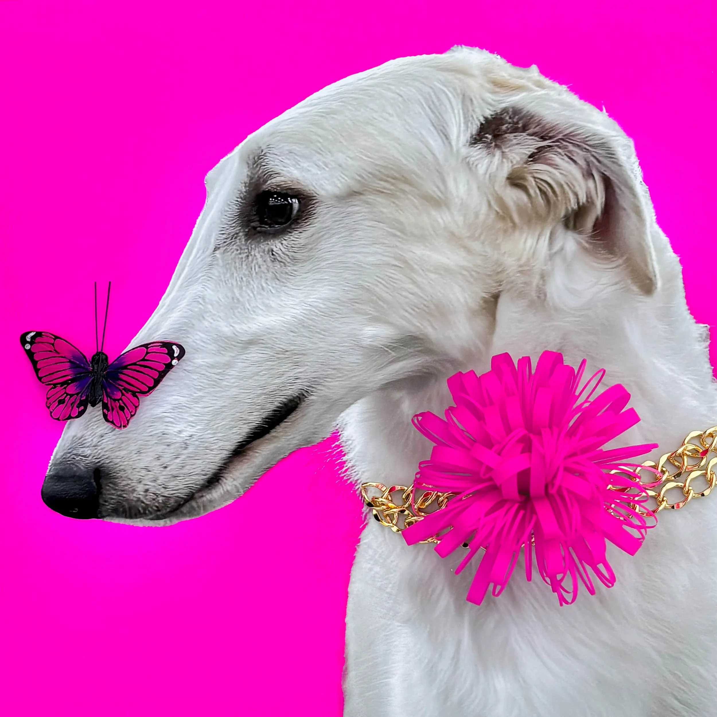 Lady Note Cards (Pack of 4)