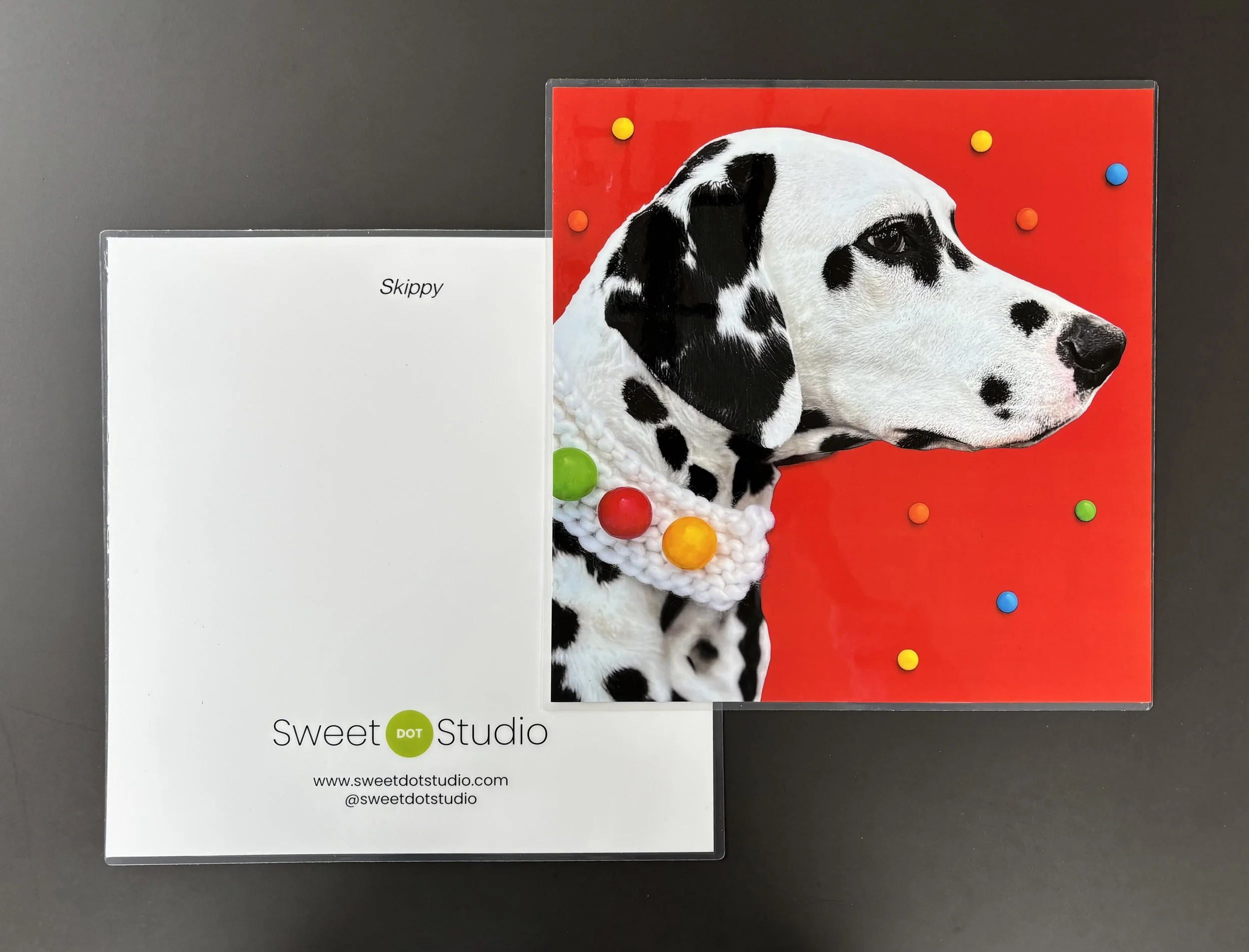 Kids’ Placemats: Noodle & Skippy Set