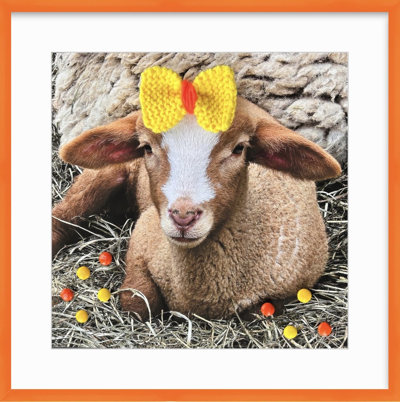 Colored frames from Framebridge 3.jpg