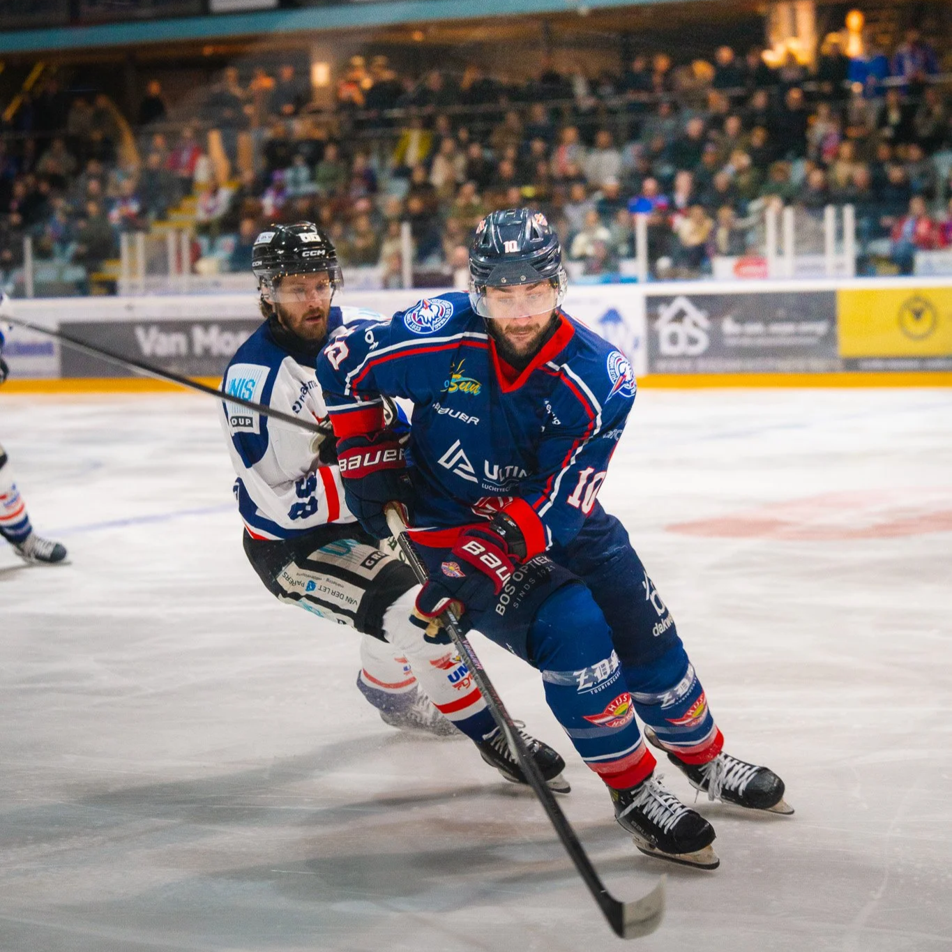 Midseason CEHL Cup Standings