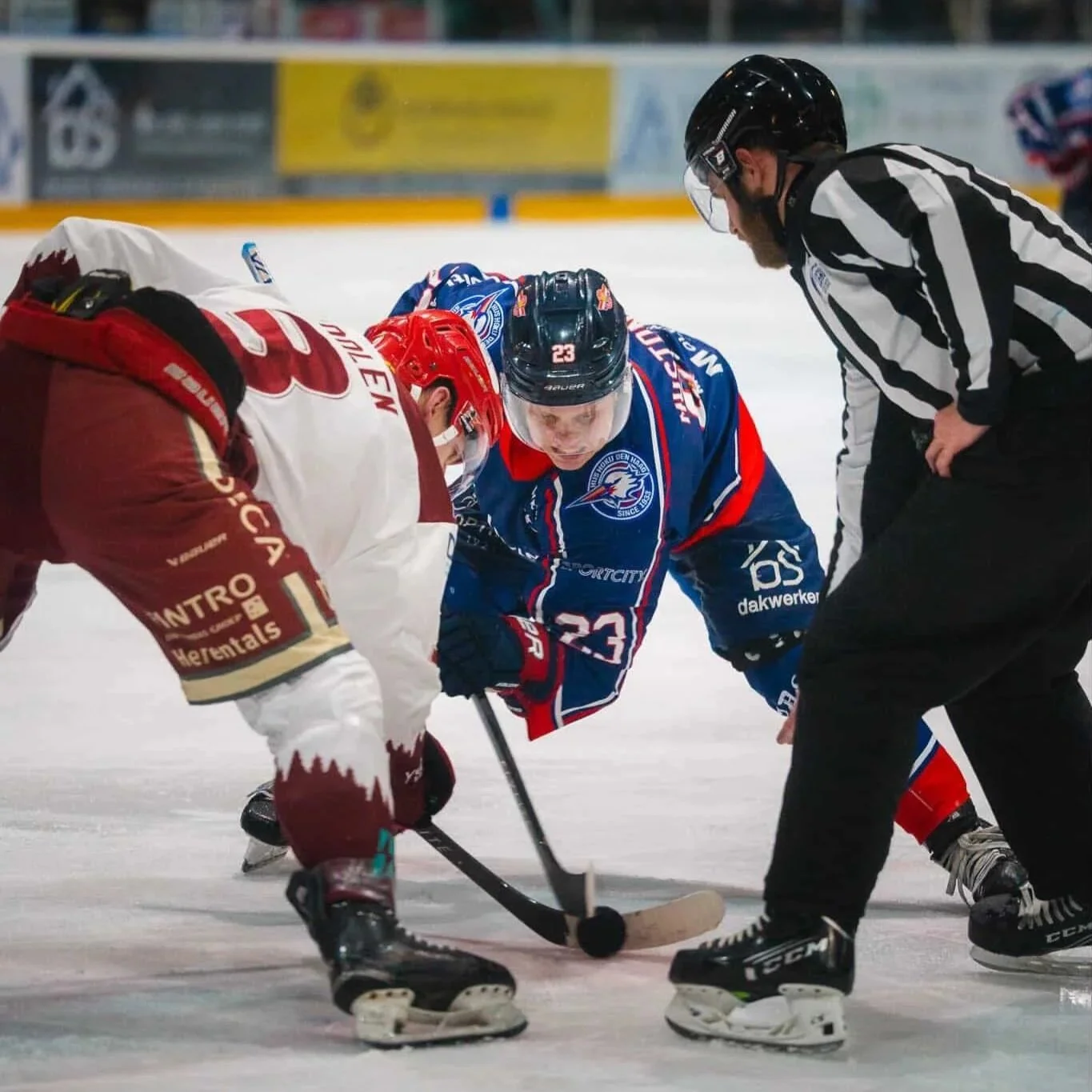 CEHL 2025–2026 Season Highlights and Recap