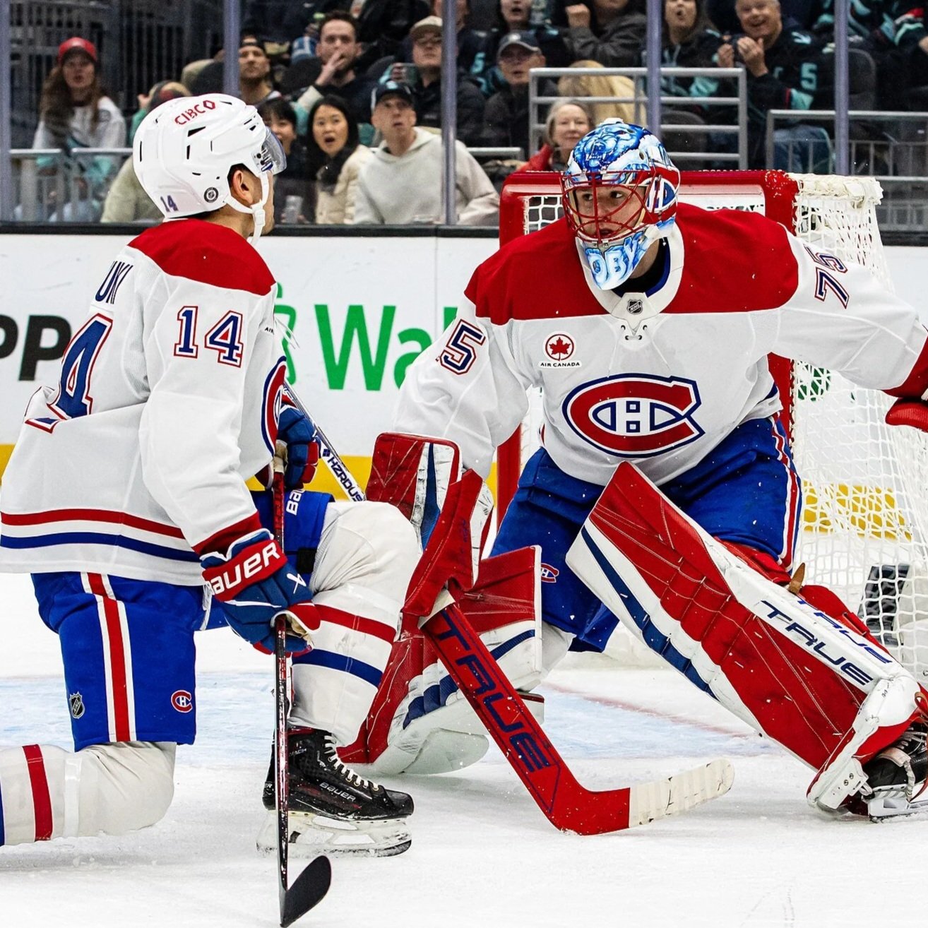 Canadiens Invest in the Future With Dobeš $16.07 M Extension