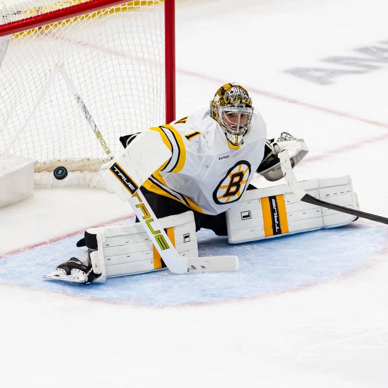 Pastrnak Leads the Way in Bruins 6-1 Victory Over Mammoth&nbsp;