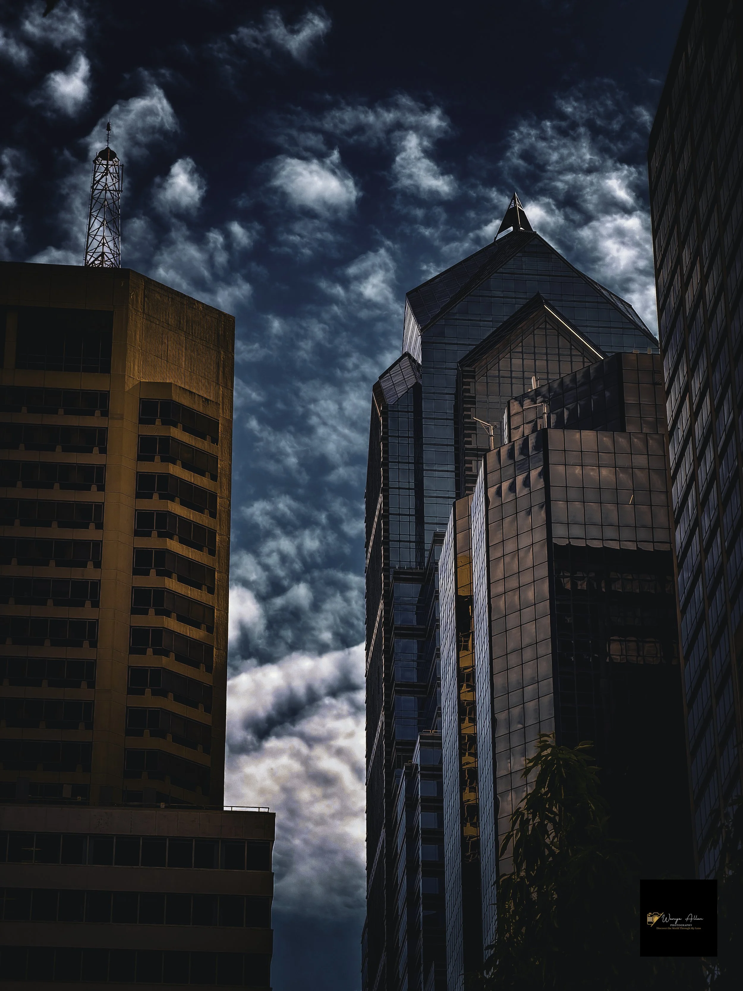 Buildings and Petals: Flowers and Skyscrapers Adventure