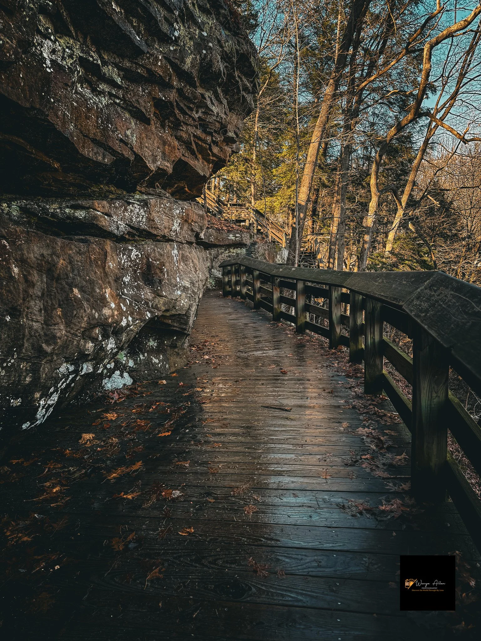 Whispers of Water: The Brandywine Cascades