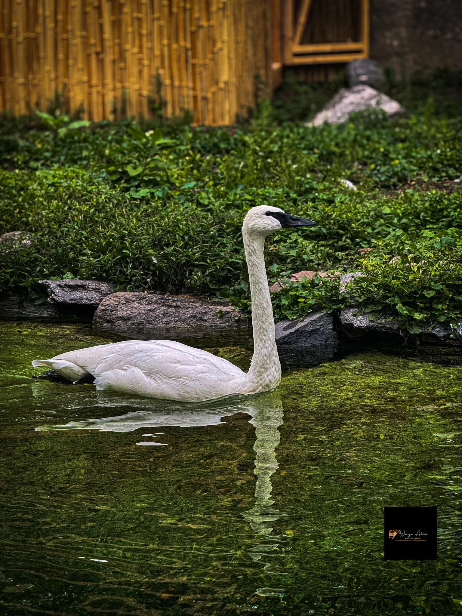 A Wild Day: Adventures at the Philadelphia Zoo