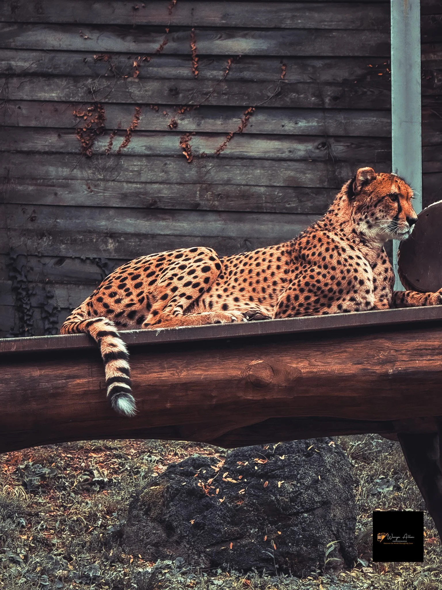 A Wild Day: Adventures at the Philadelphia Zoo
