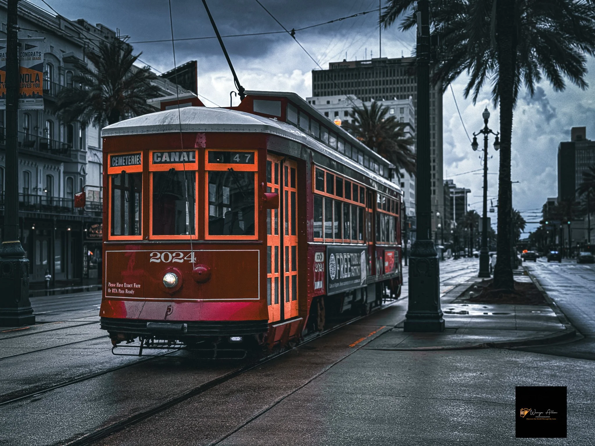 Trolleys of Canal Street: A Stroll Through New Orleans History
