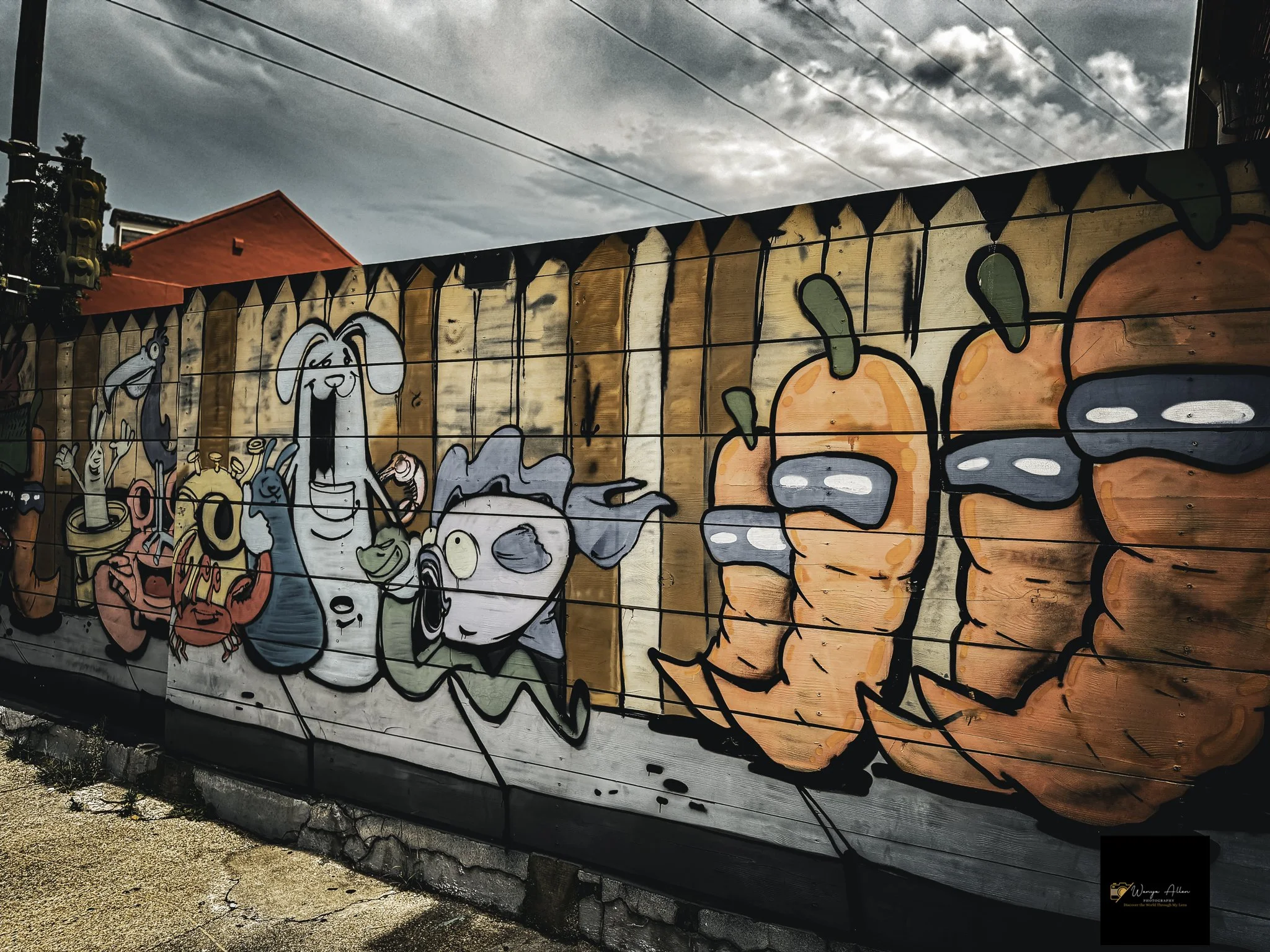Rooted and Rising: New Orleans Through Our Eyes