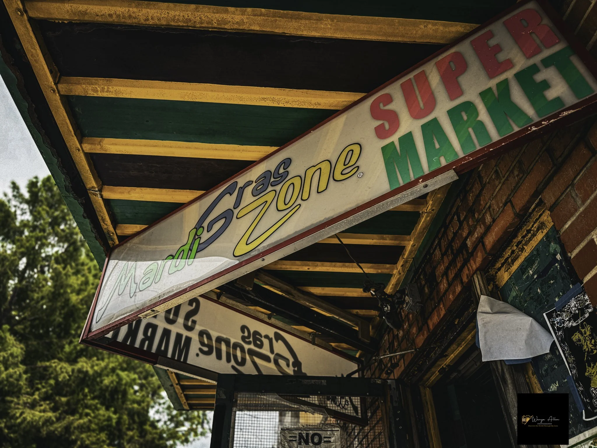 Rooted and Rising: New Orleans Through Our Eyes