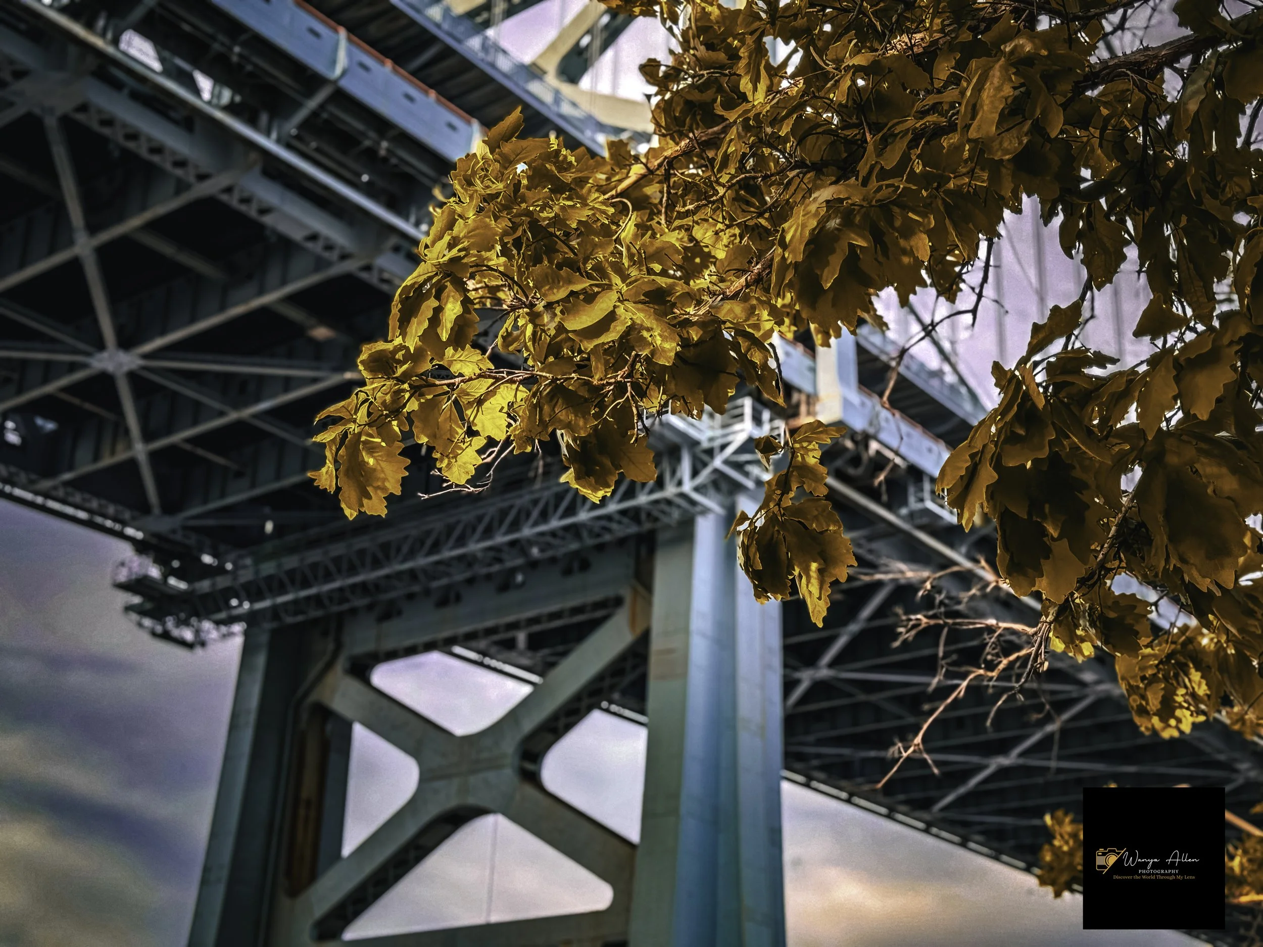 There’s No Place Like Home: City of Brotherly Love Through My Lens