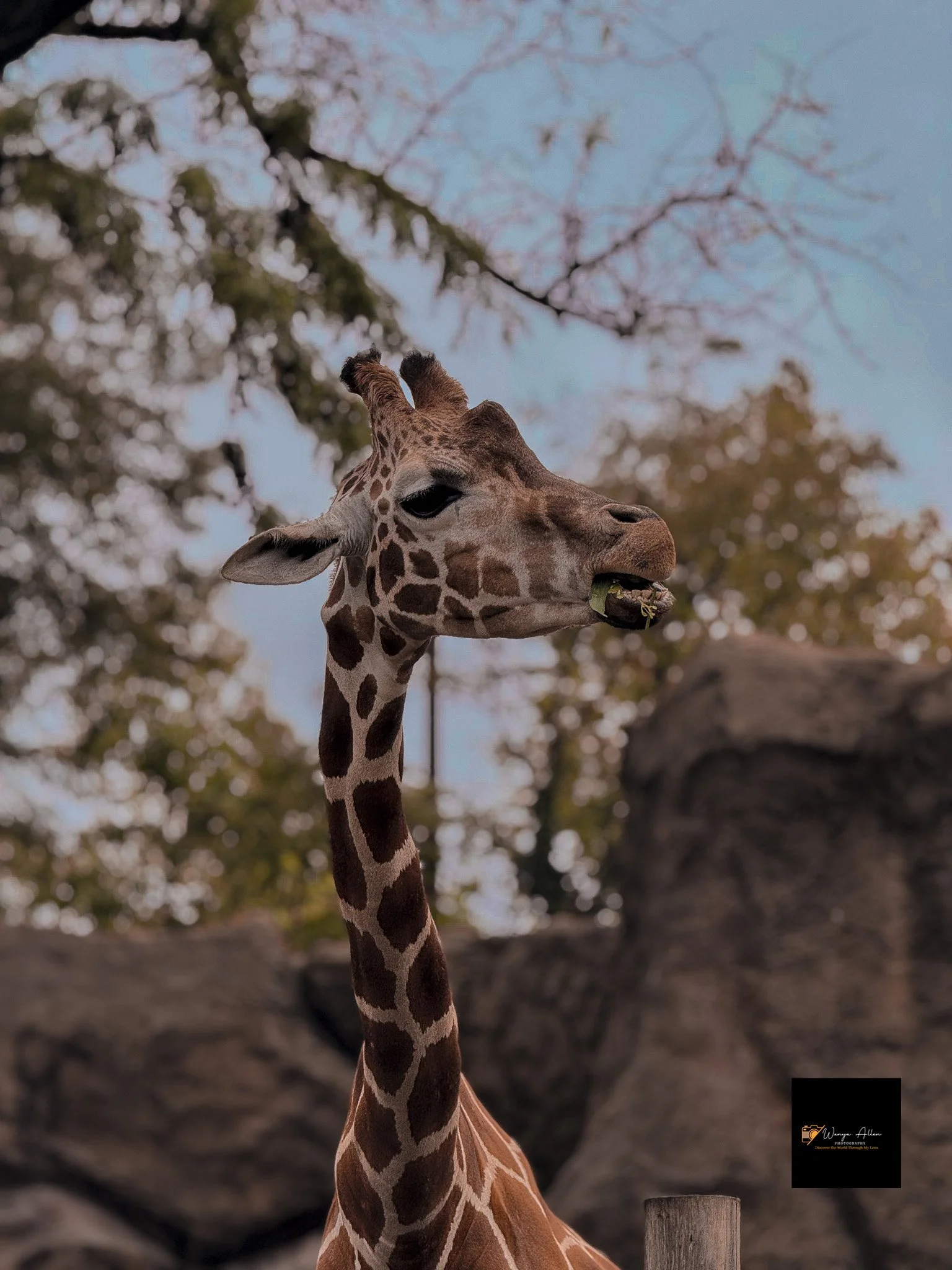 A Wild Day: Adventures at the Philadelphia Zoo