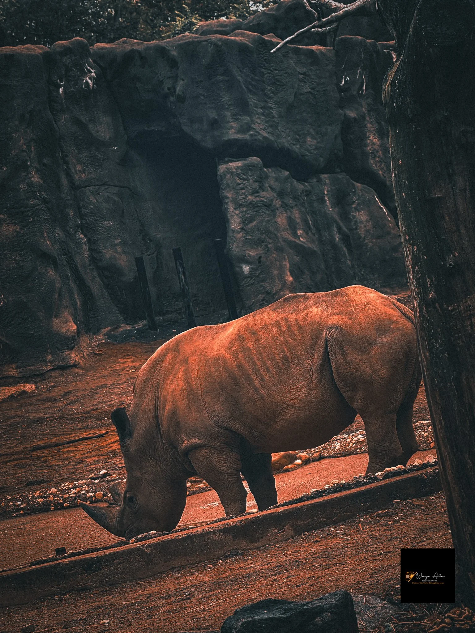 A Wild Day: Adventures at the Philadelphia Zoo