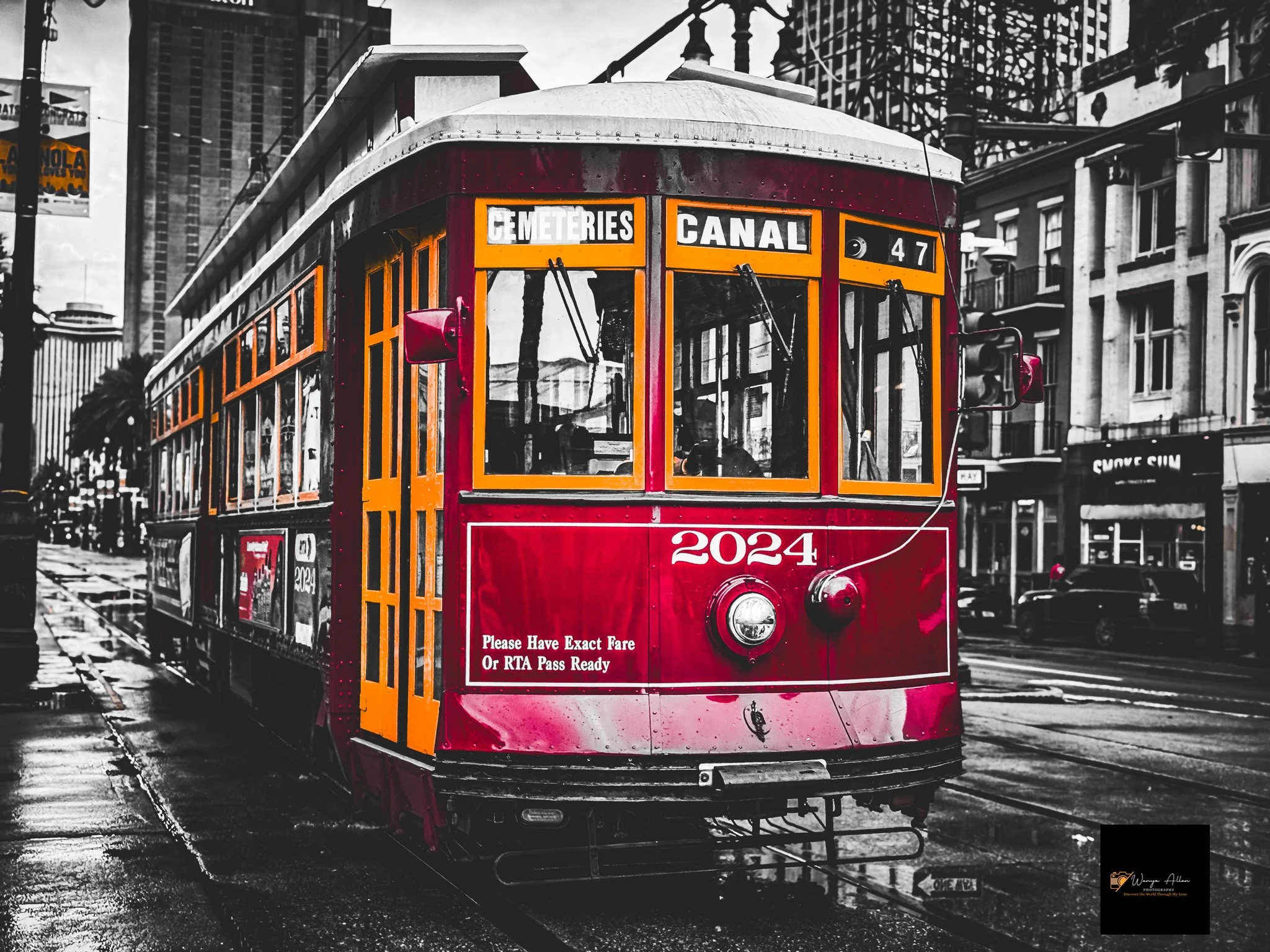 Trolleys of Canal Street: A Stroll Through New Orleans History